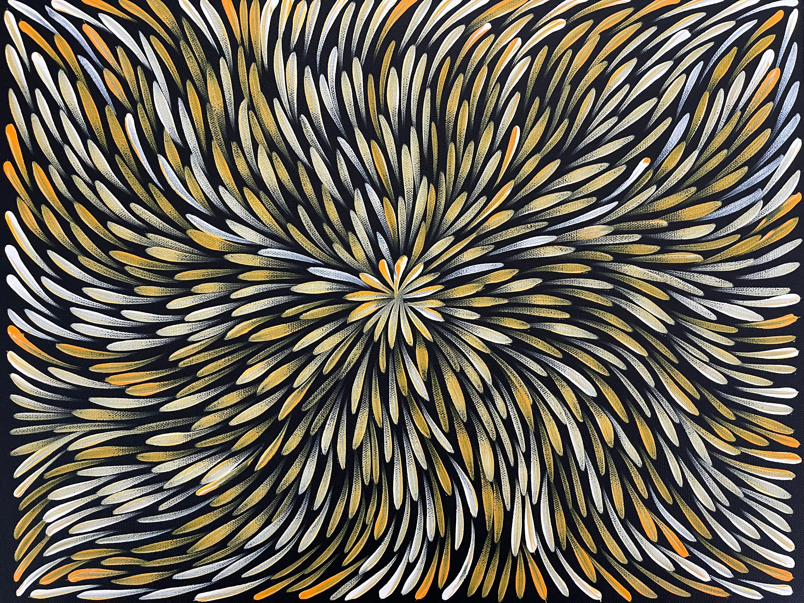 Sharon Numina - Bush Medicine Leaves- 33x42cm .63-16