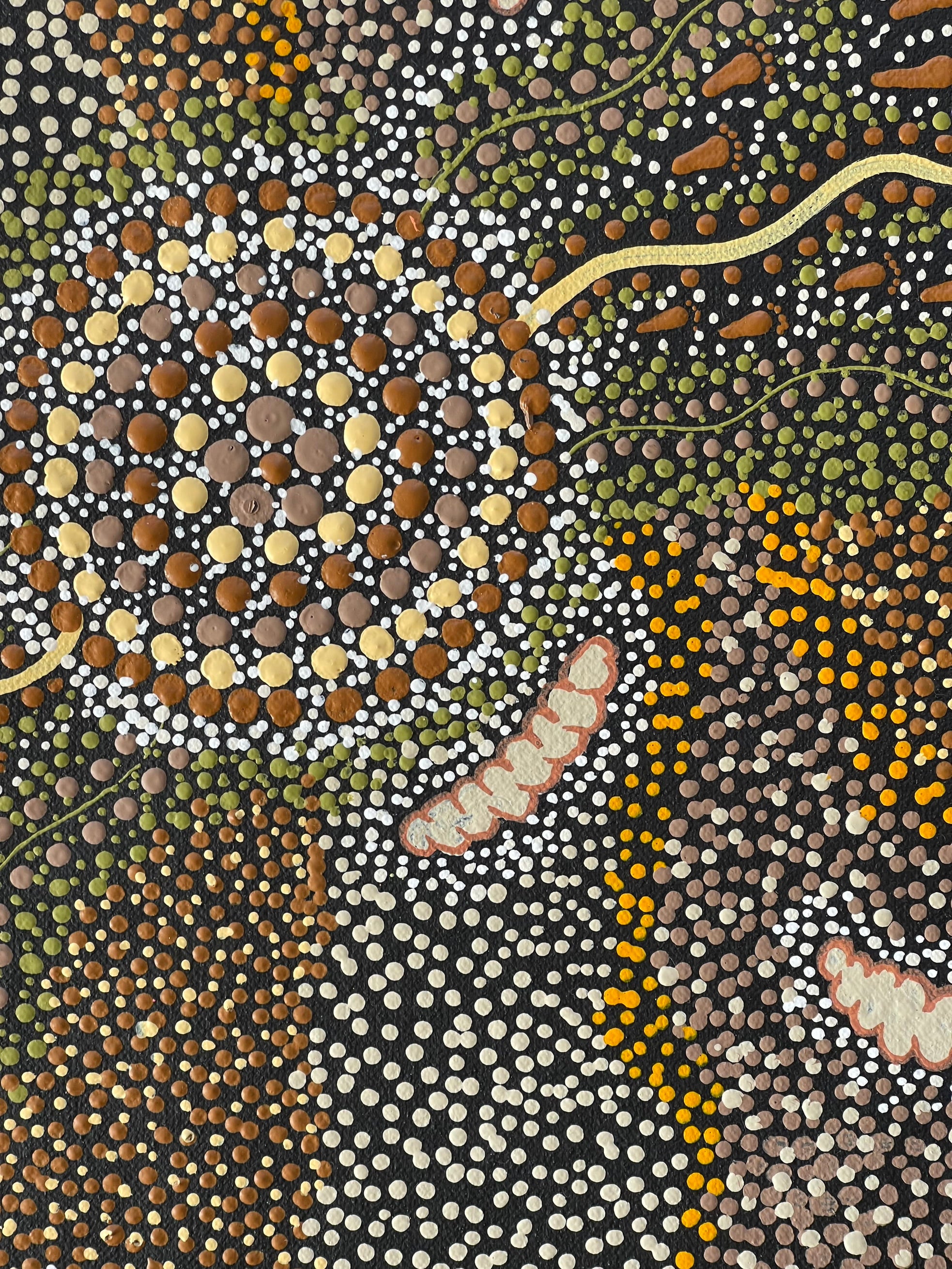Deidre Burgoyne Rosier - Bush Tucker - 31x30cm .12-16