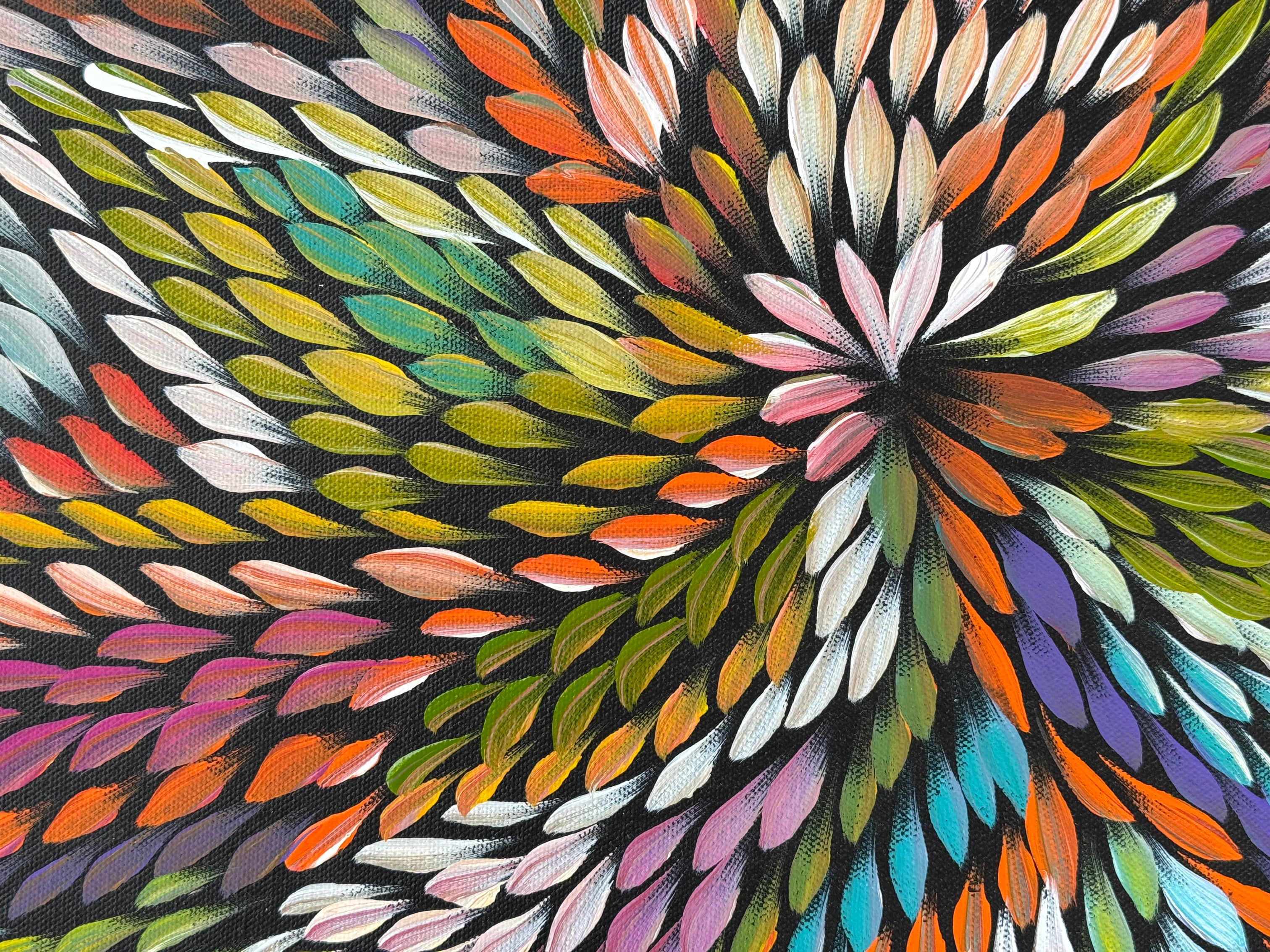 Caroline Numina - Bush Medicine Leaves .17-5