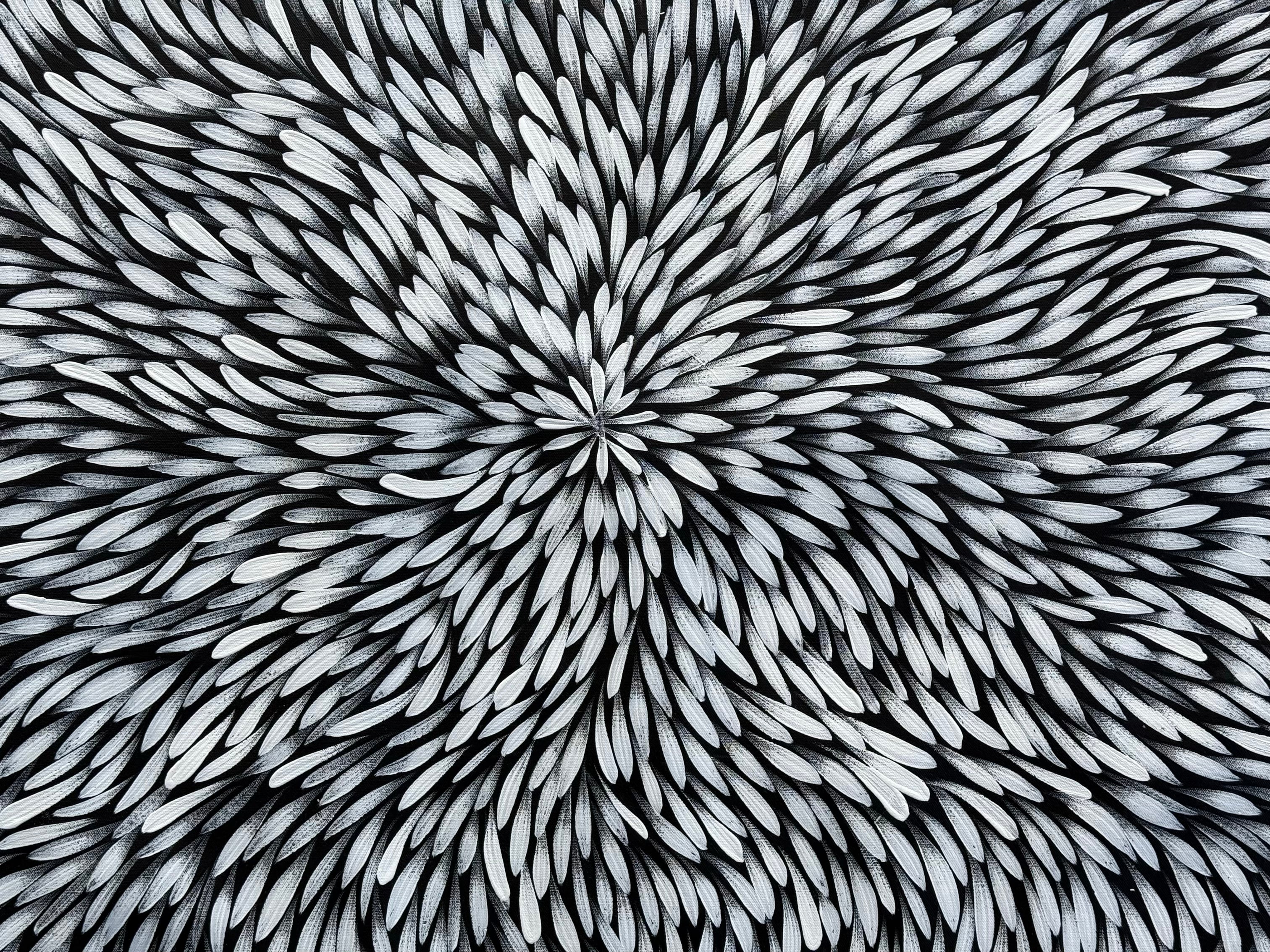 Sharon Numina - Bush Medicine Leaves .40-7