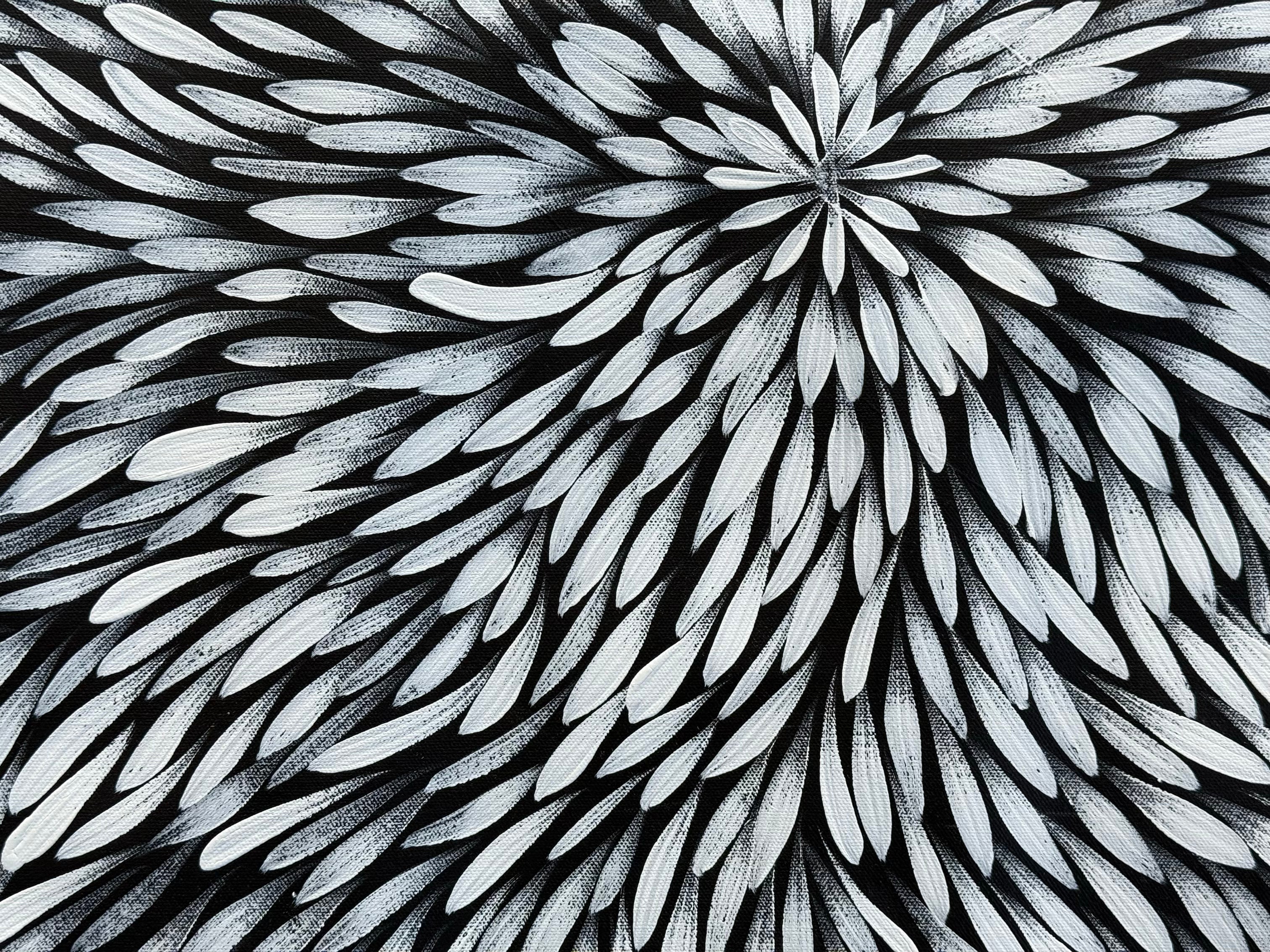 Sharon Numina - Bush Medicine Leaves .40-7