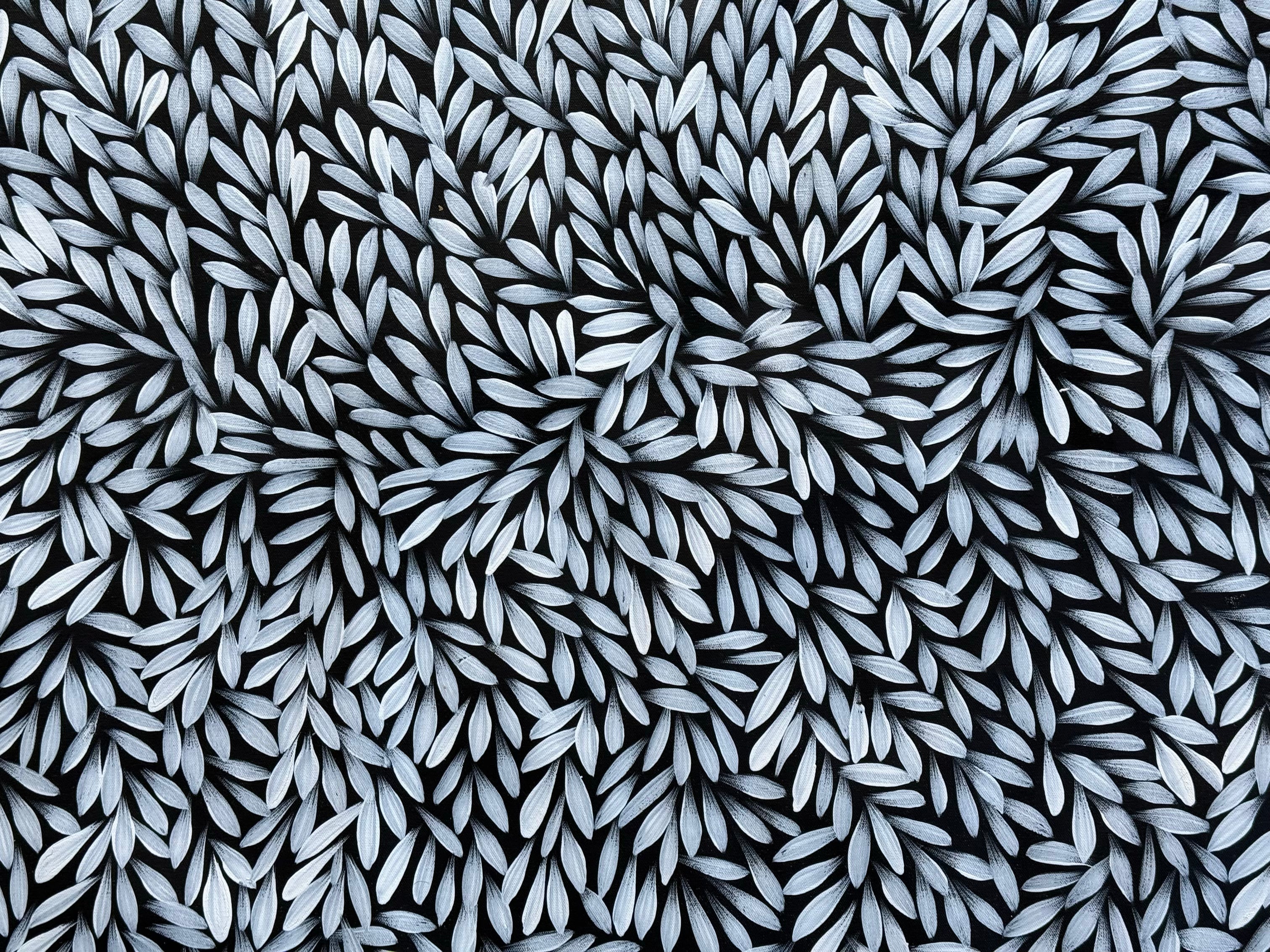 Sharon Numina - Bush Medicine Leaves .40-6