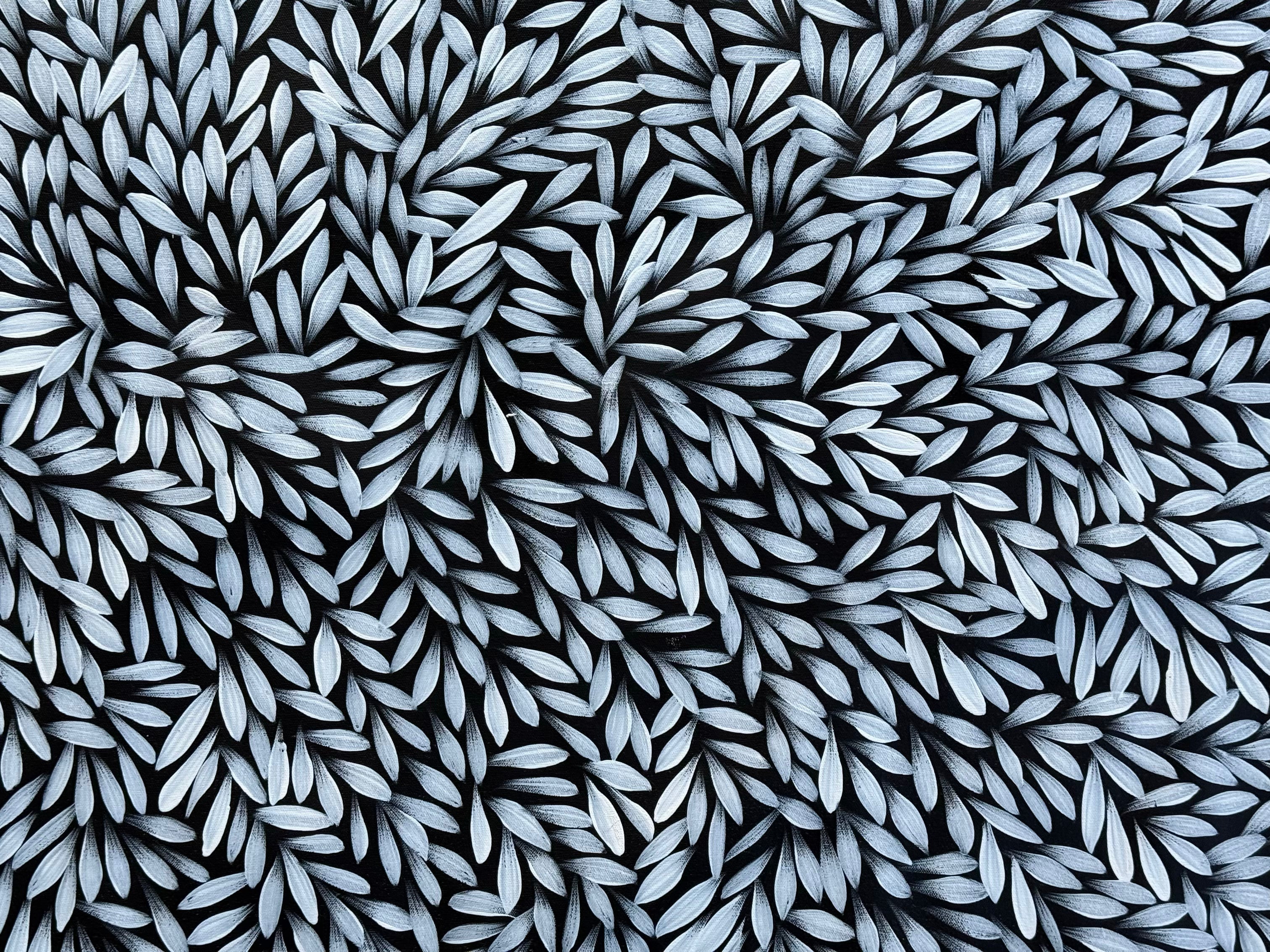 Sharon Numina - Bush Medicine Leaves .40-6