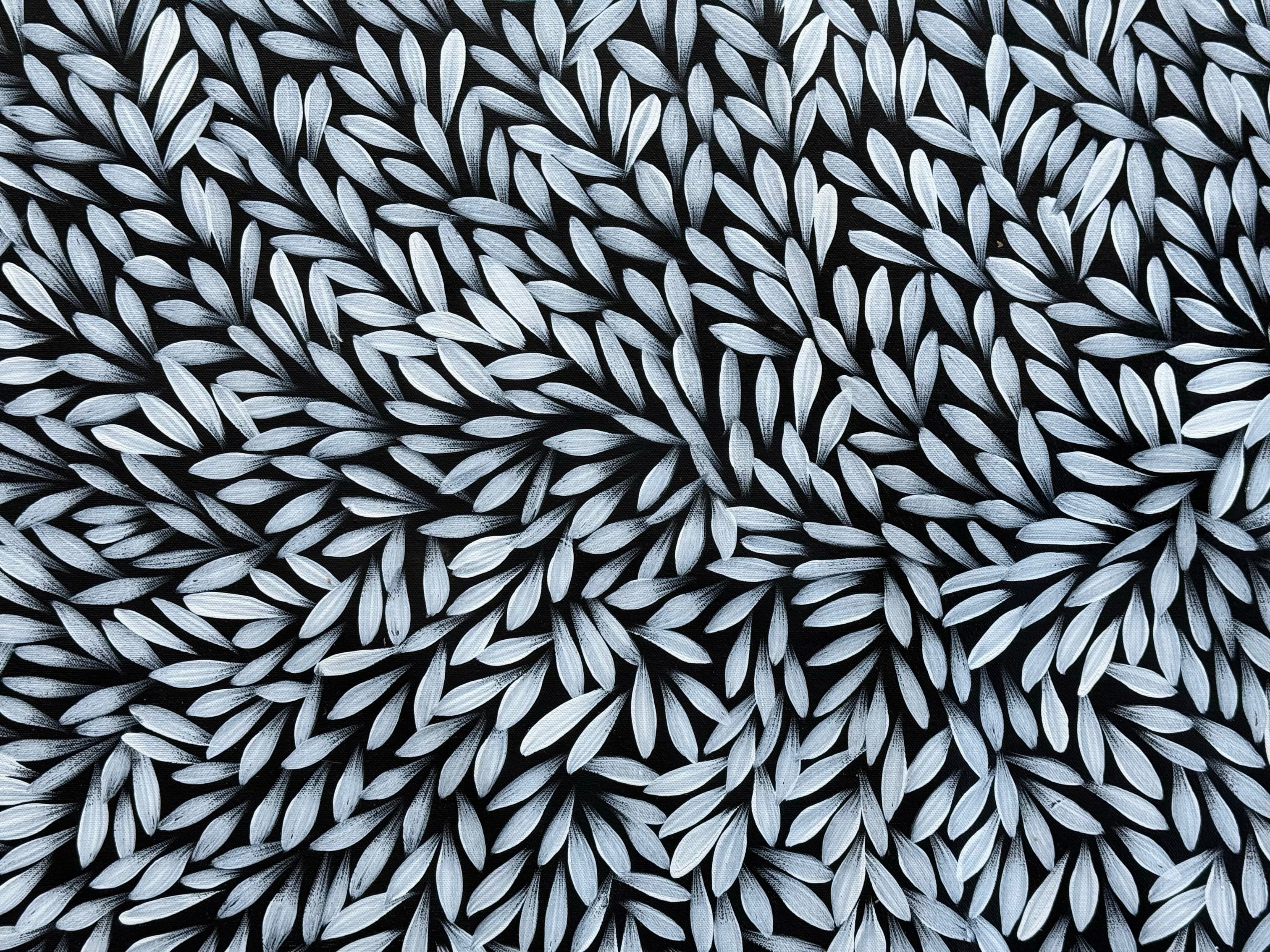 Sharon Numina - Bush Medicine Leaves .40-6