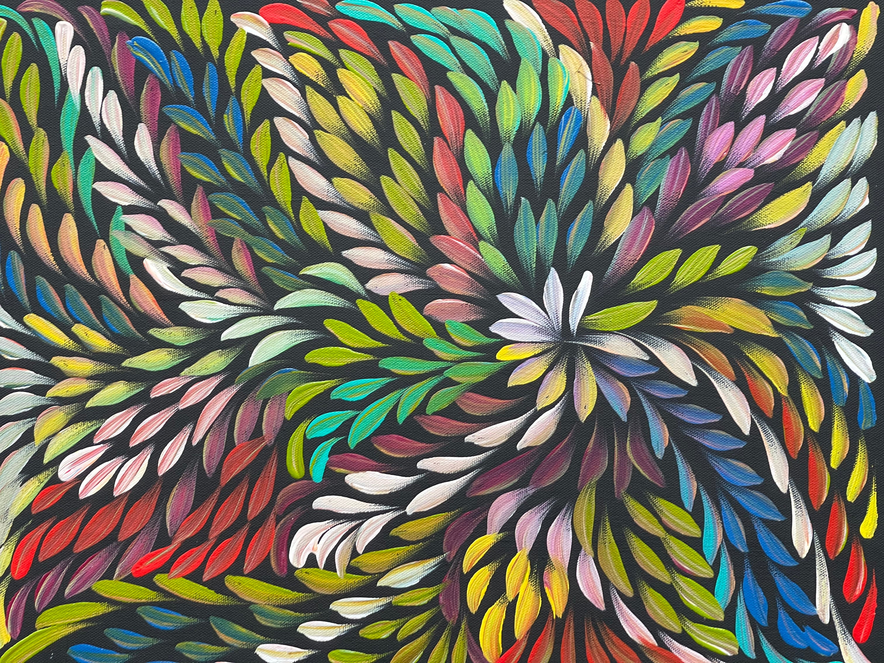 Caroline Numina - Bush Medicine Leaves .31-7