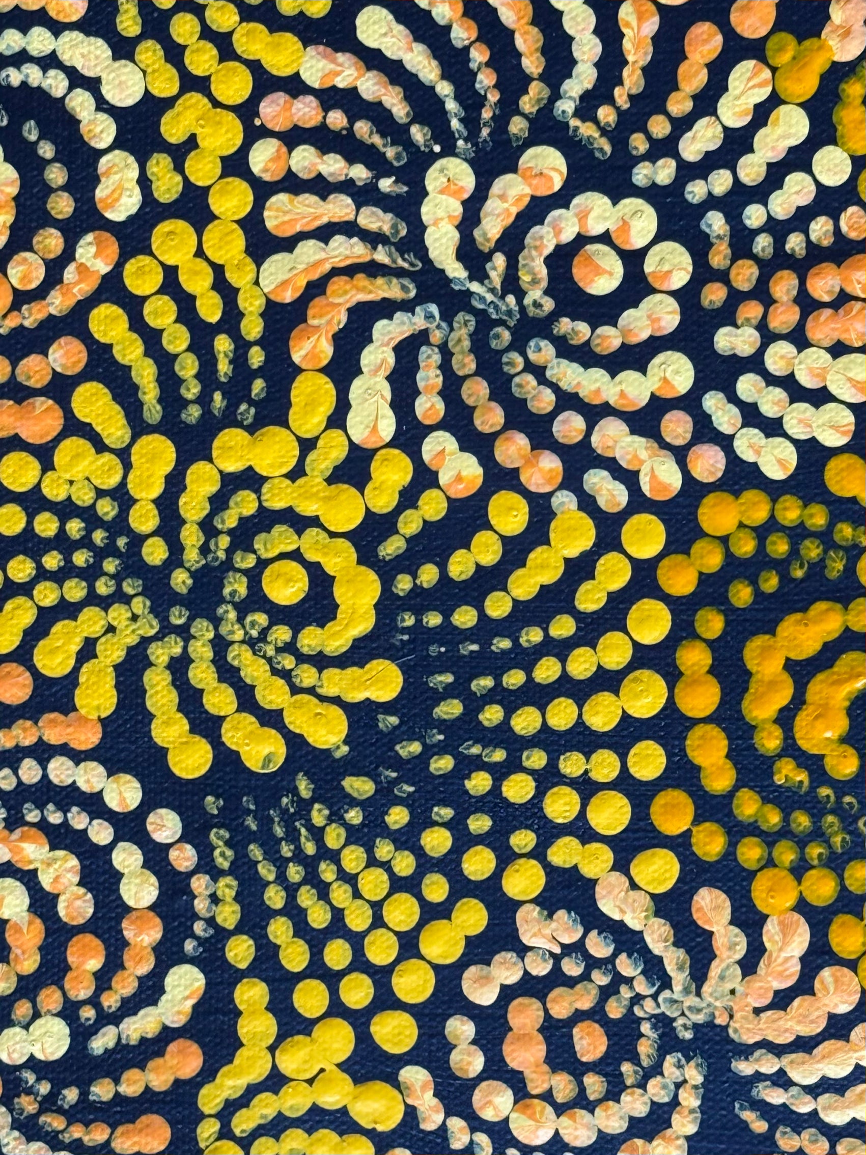 Maria Nampijinpa Brown - Flying Ants Dreaming (Pamapardu Jukurrpa) .48-6