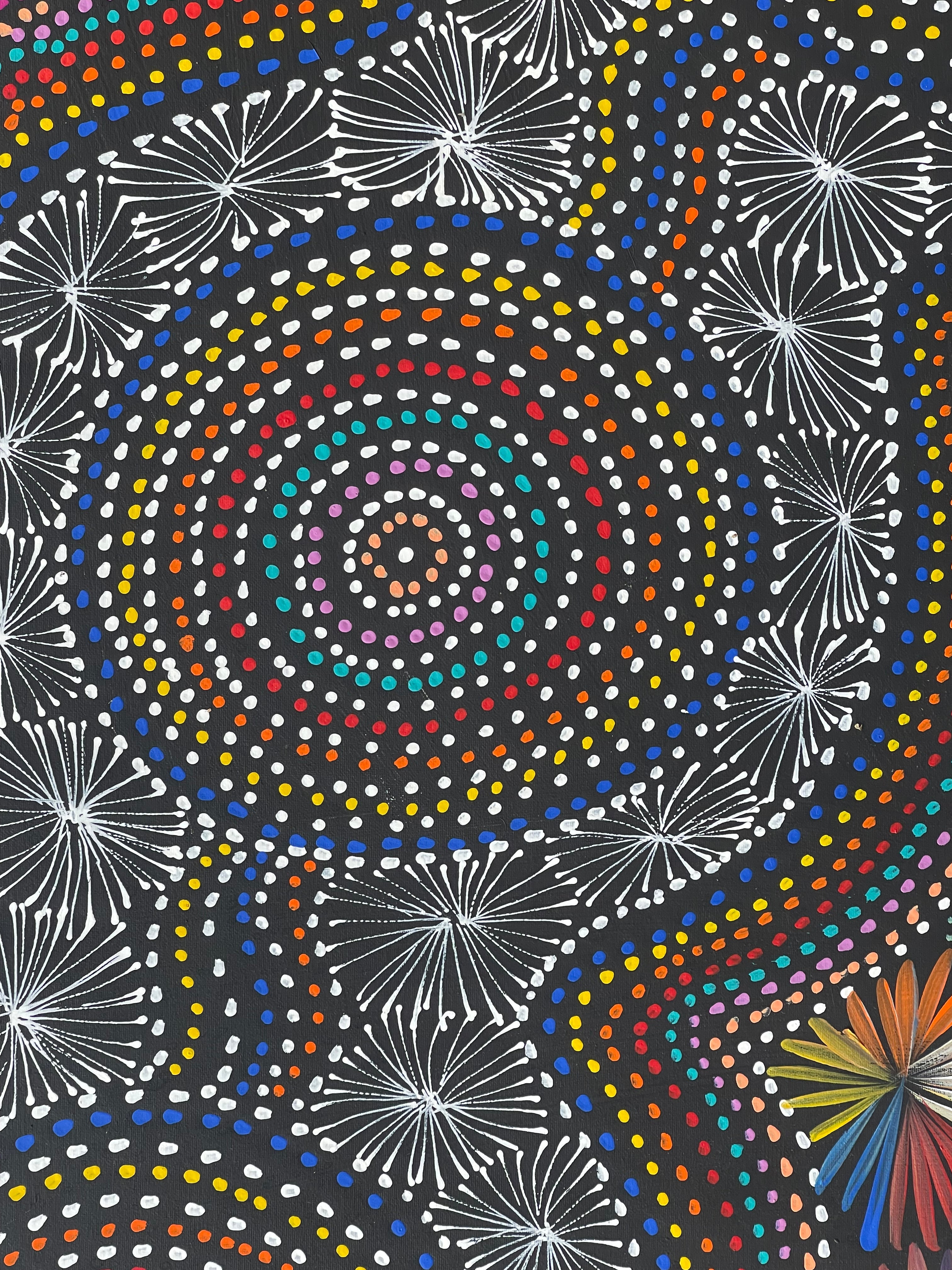 Selina Numina Kamprina - Bush Medicine Leaves with Spinifex Grass .37-16