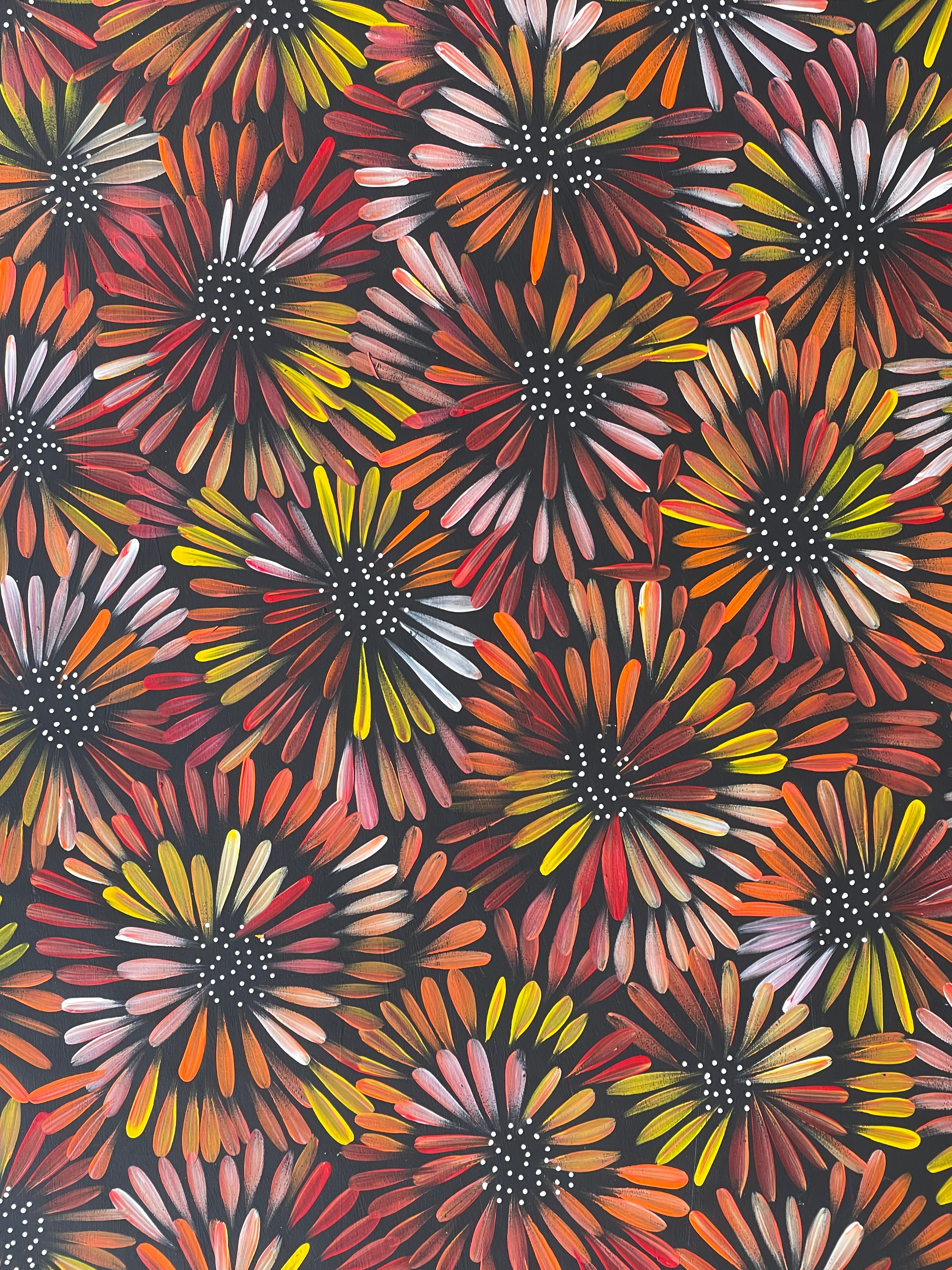 Selina Numina Kamprina - Tobacco Plants and Seeds .37-12