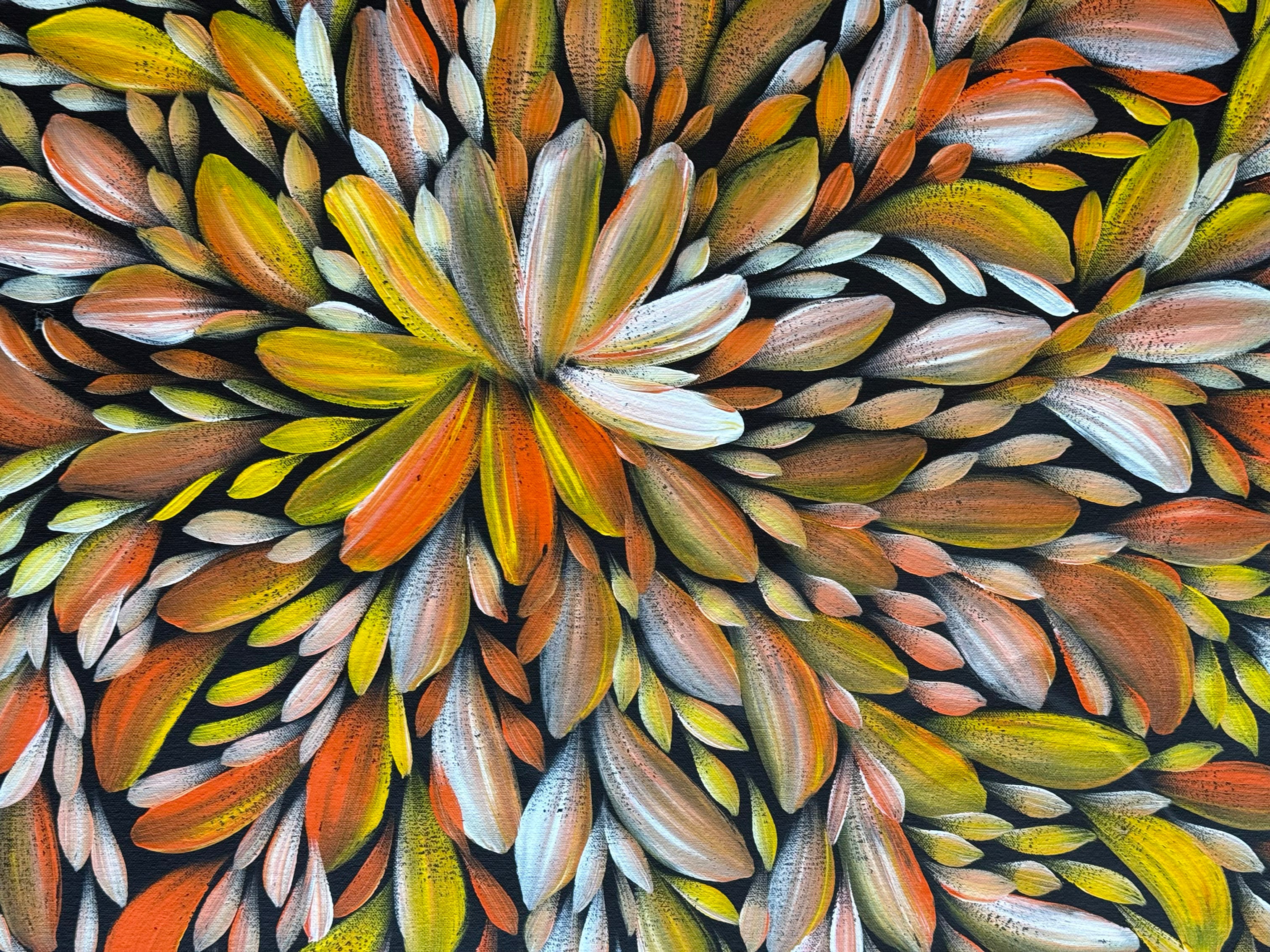 Louise Numina Napananka - Bush Medicine Leaves .49-6