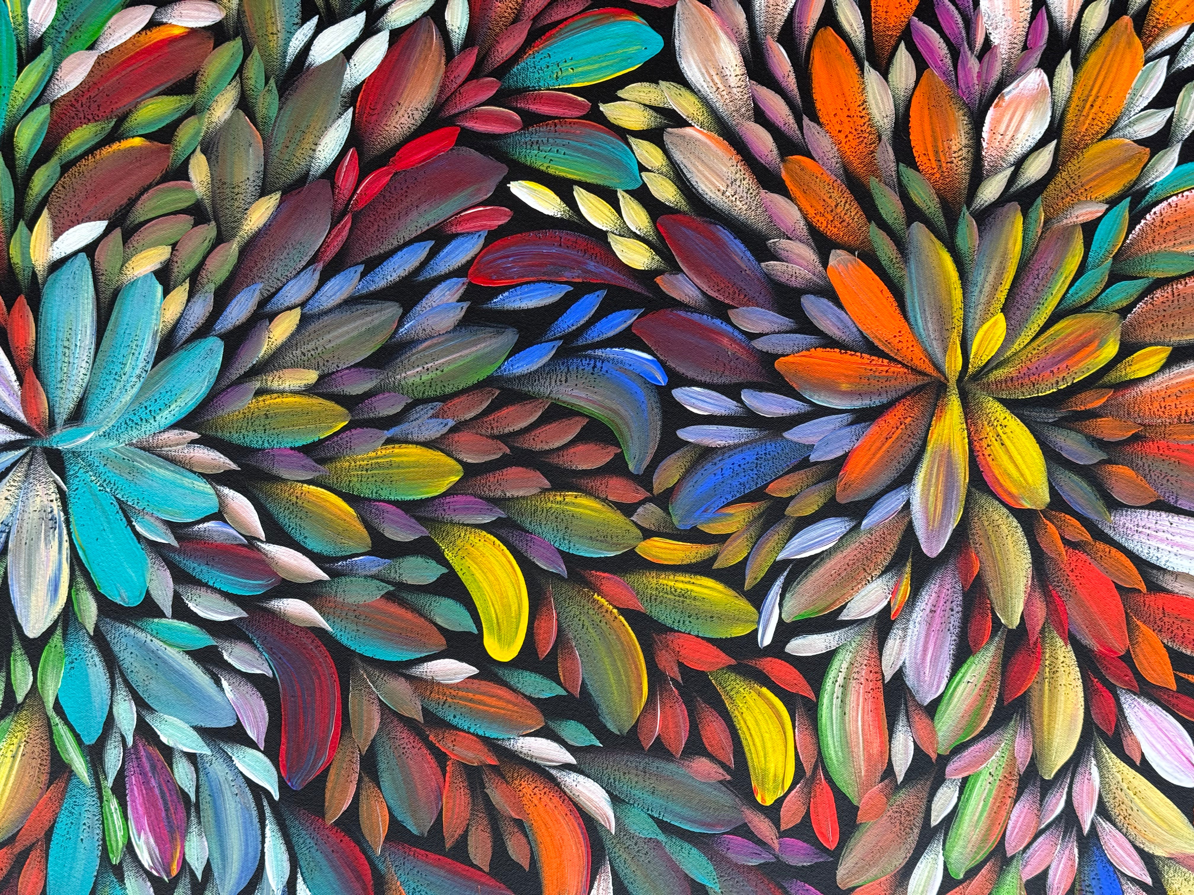 Louise Numina Napananka - Bush Medicine Leaves .25-6