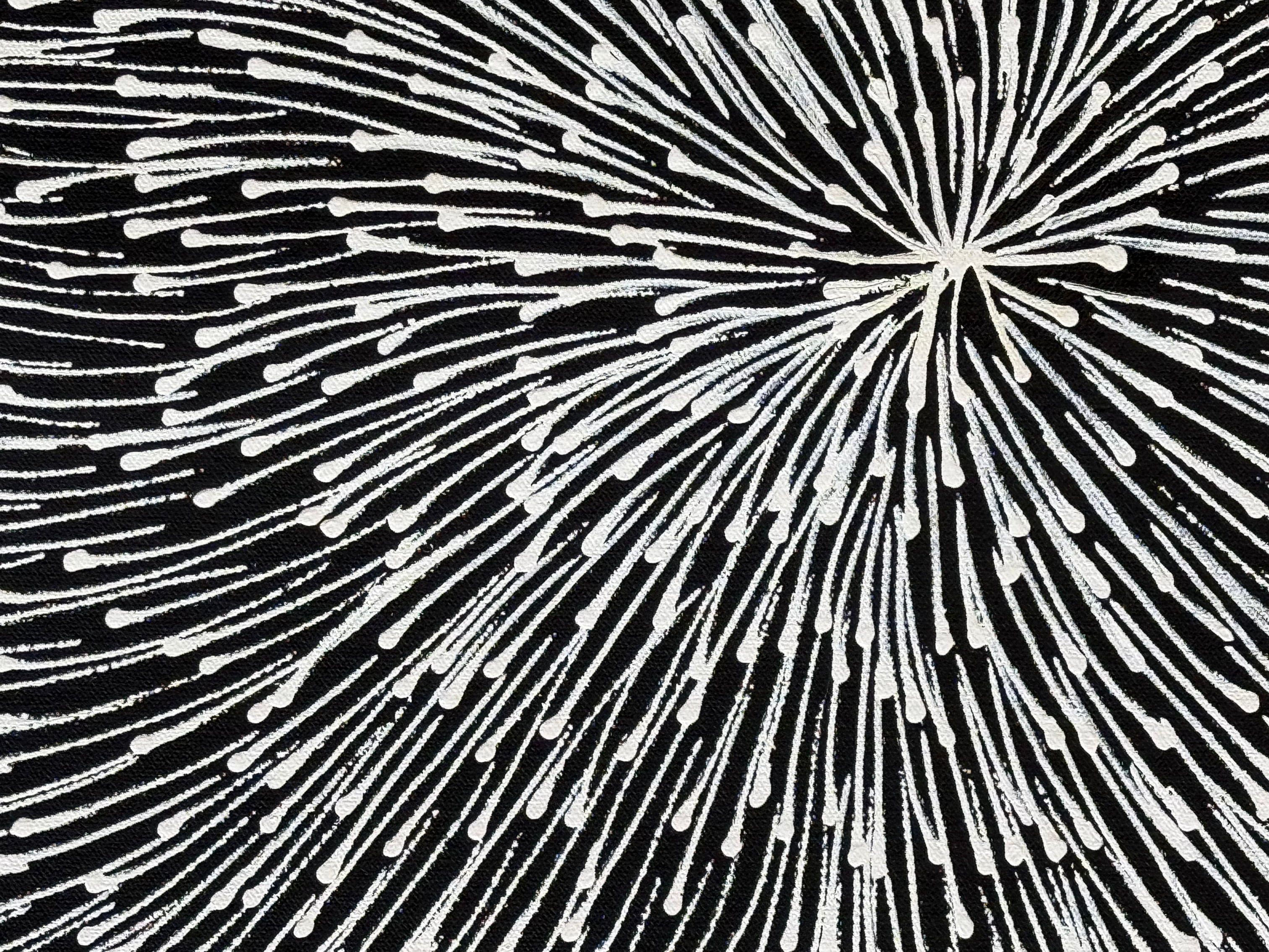 Sharon Numina - Bush Medicine Seeds - 194x86cm .02-9