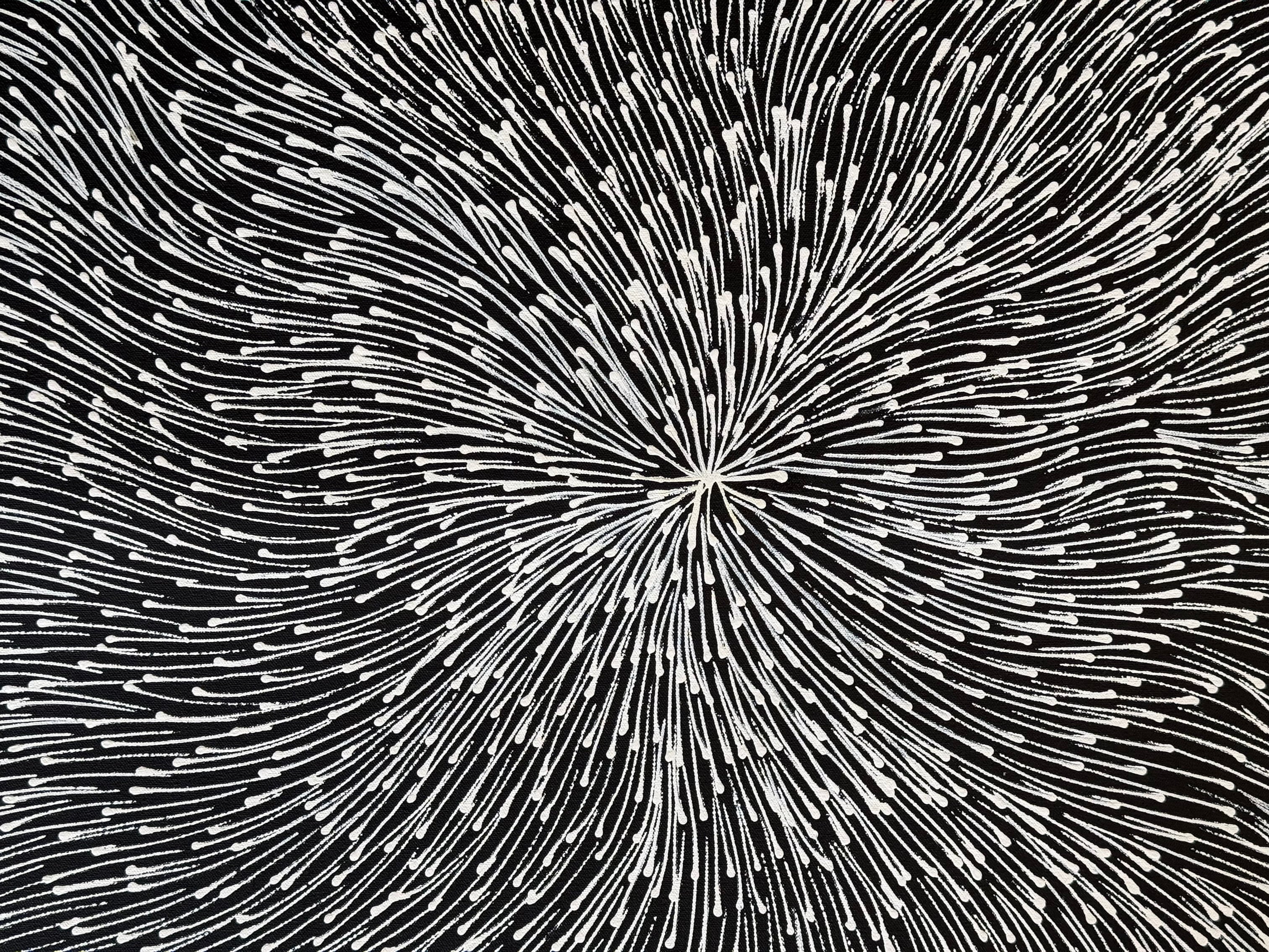 Sharon Numina - Bush Medicine Seeds - 194x86cm .02-9