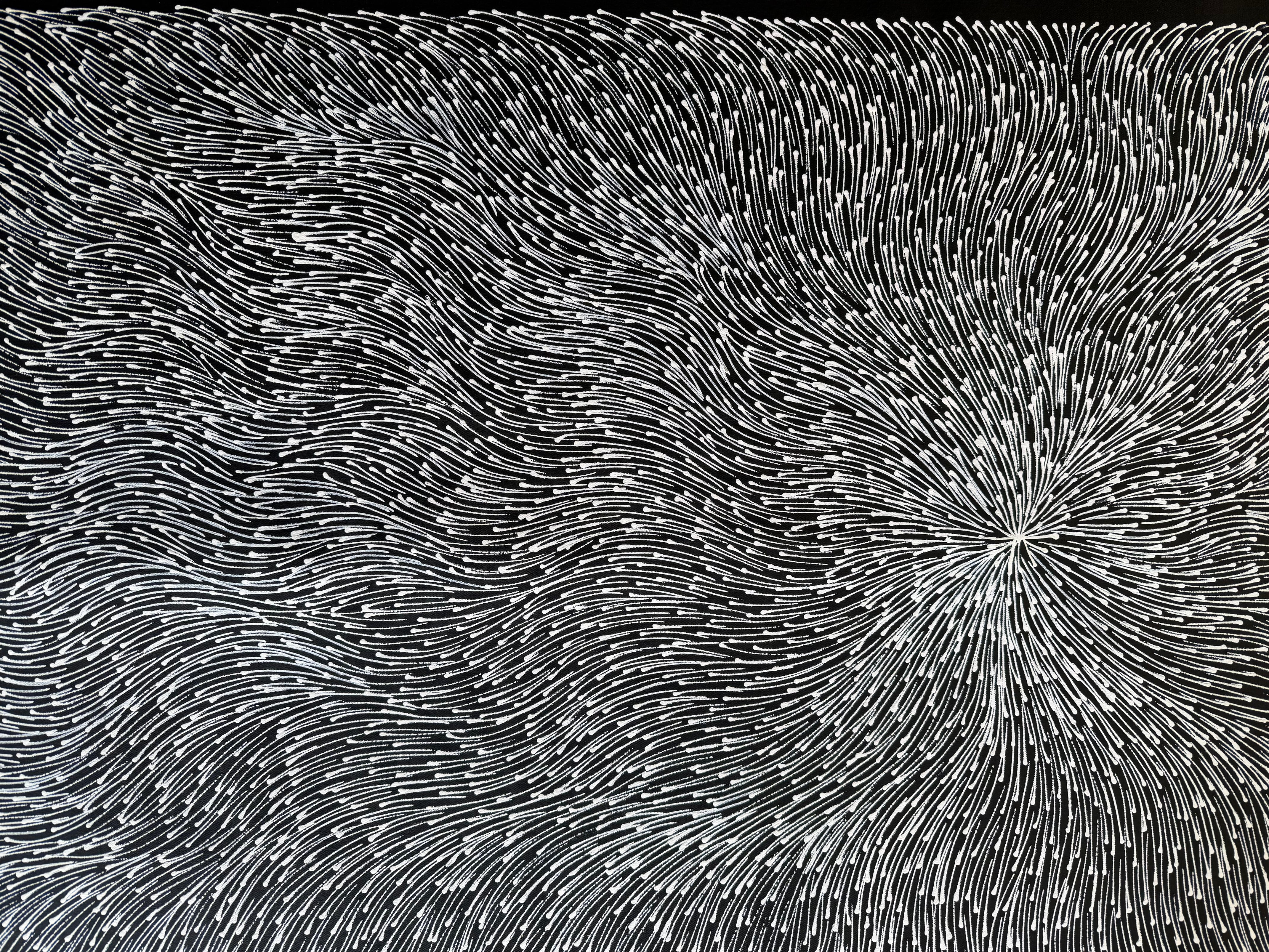 Sharon Numina - Bush Medicine Seeds - 194x86cm .02-9