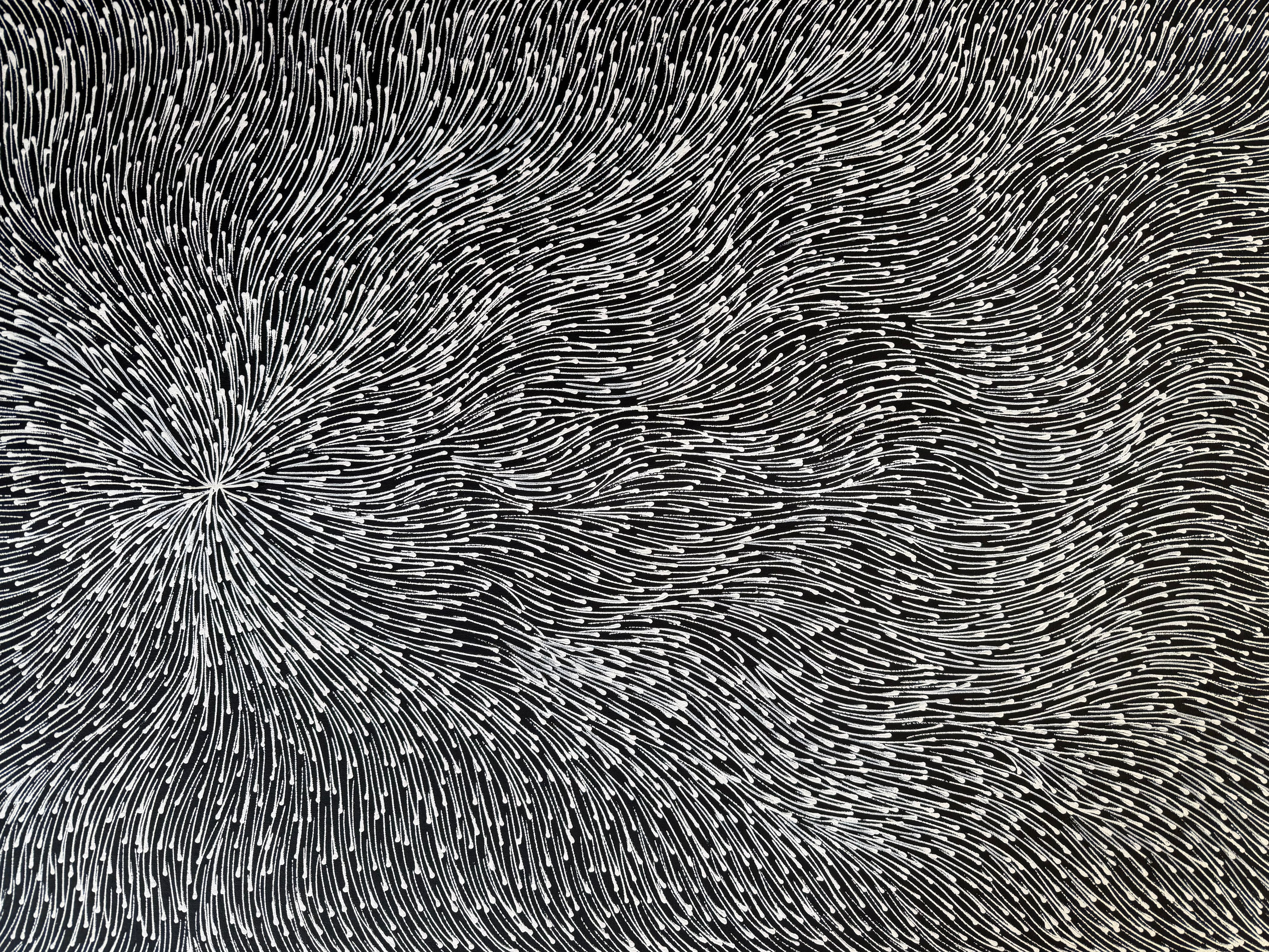 Sharon Numina - Bush Medicine Seeds - 194x86cm .02-9