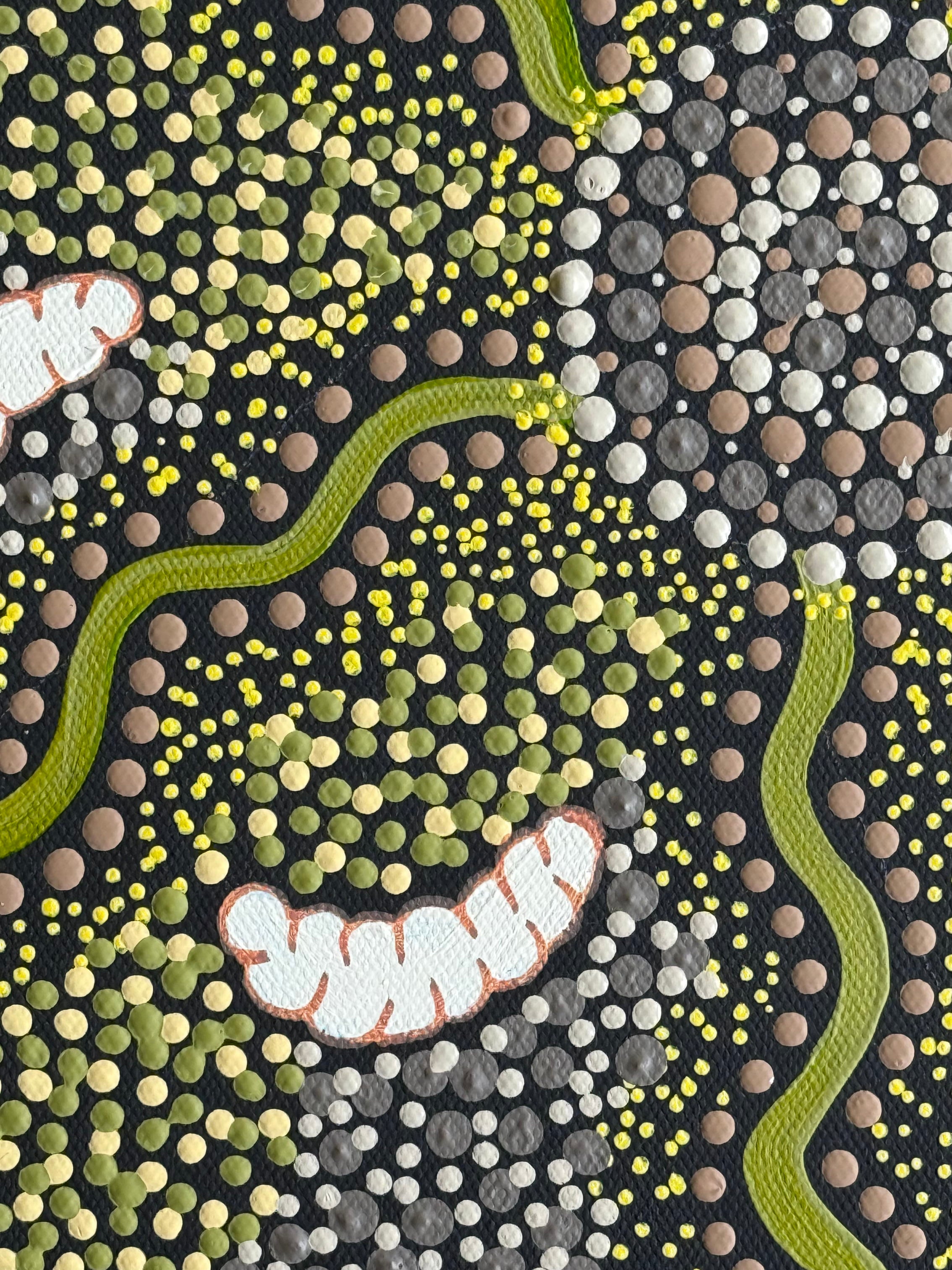 Deidre Burgoyne Rosier - Women and Children Gathering Witchetty Grubs Under the Acacia Tree Stretched ready to hang .04-10