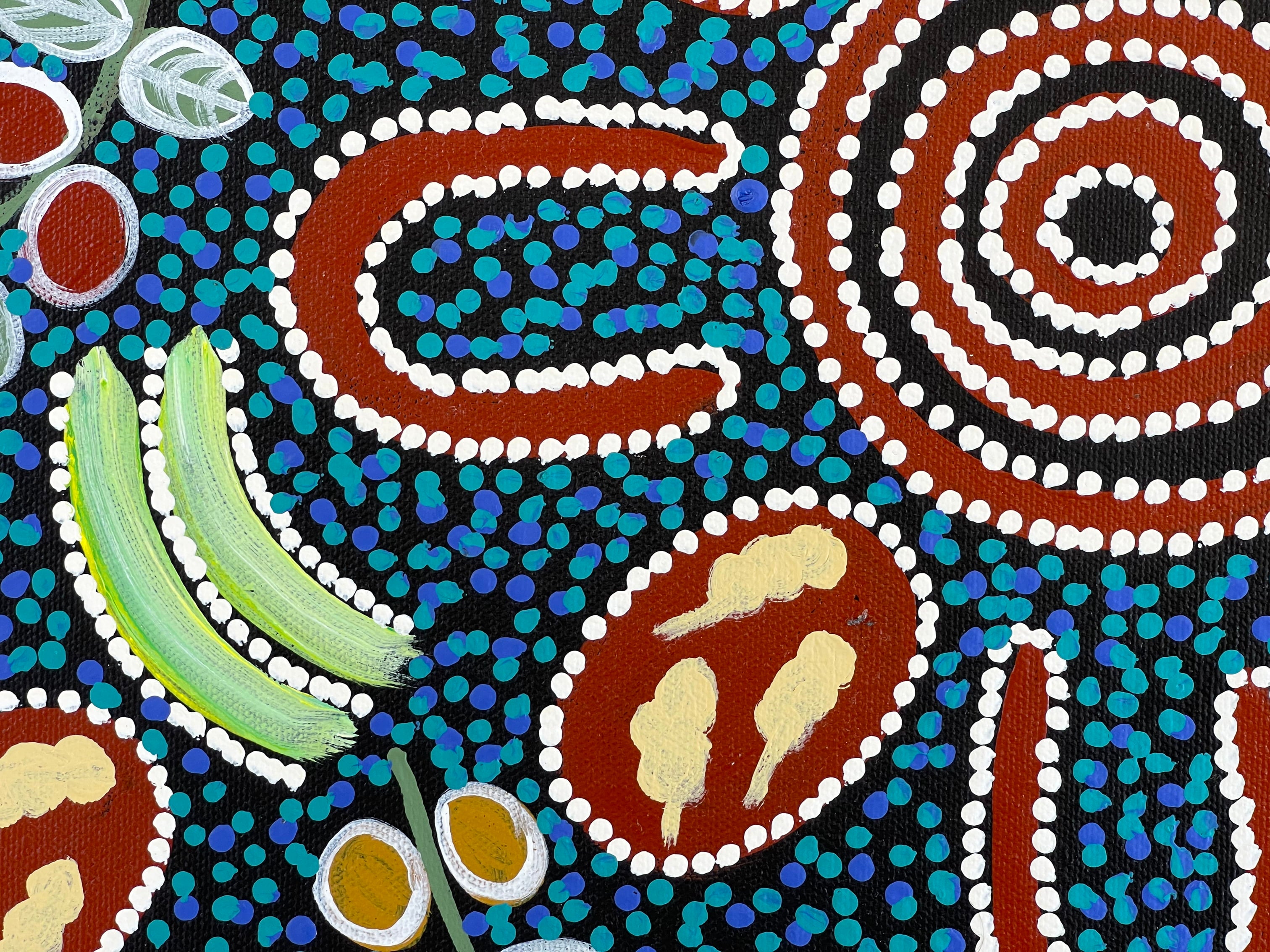 Lanita Numina - Bush Tucker - 37x51cm *Stretched ready to hang* .89-1