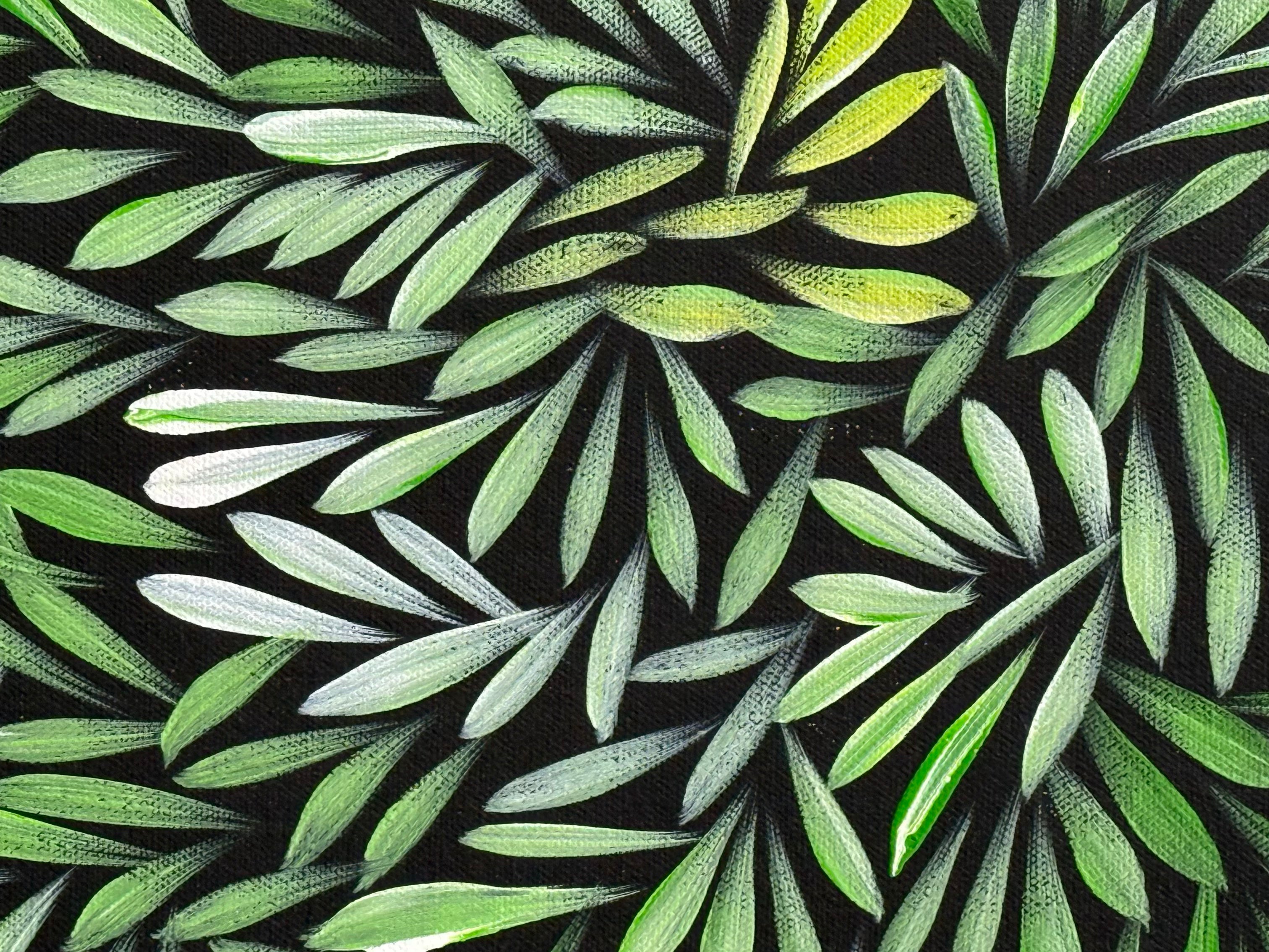 Sharon Numina - Bush Medicine Leaves .14-41