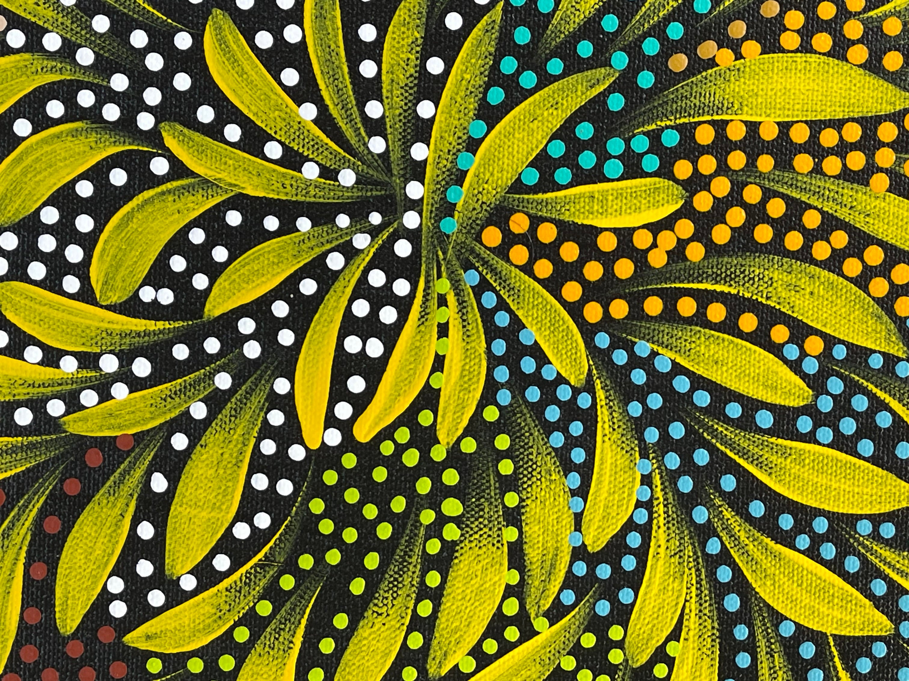 Caroline Numina - Bush Medicine Leaves with Seeds - 44x34cm .25-38