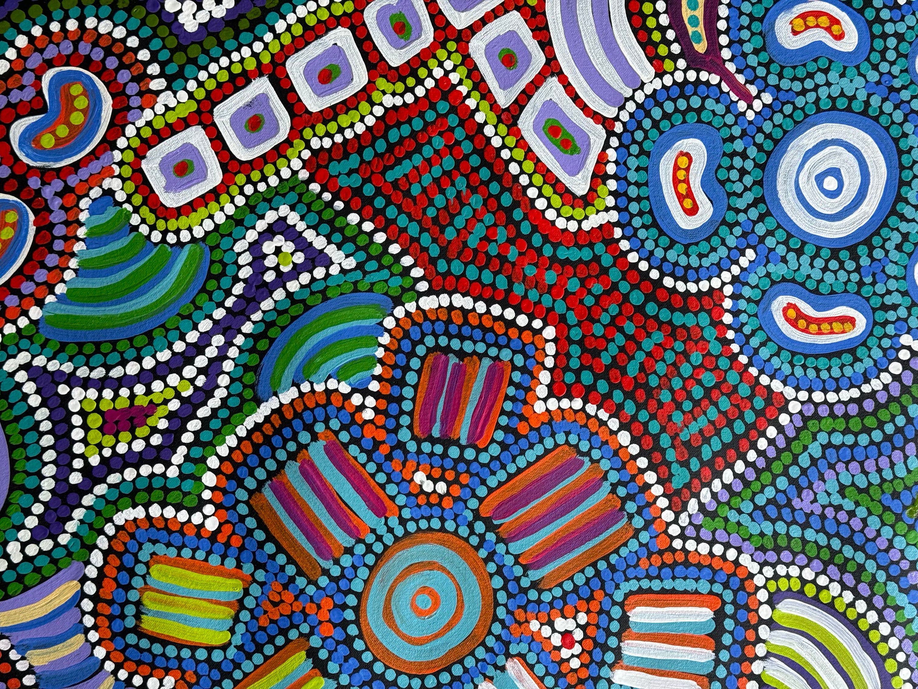 Pacinta Turner - My Country .70-1