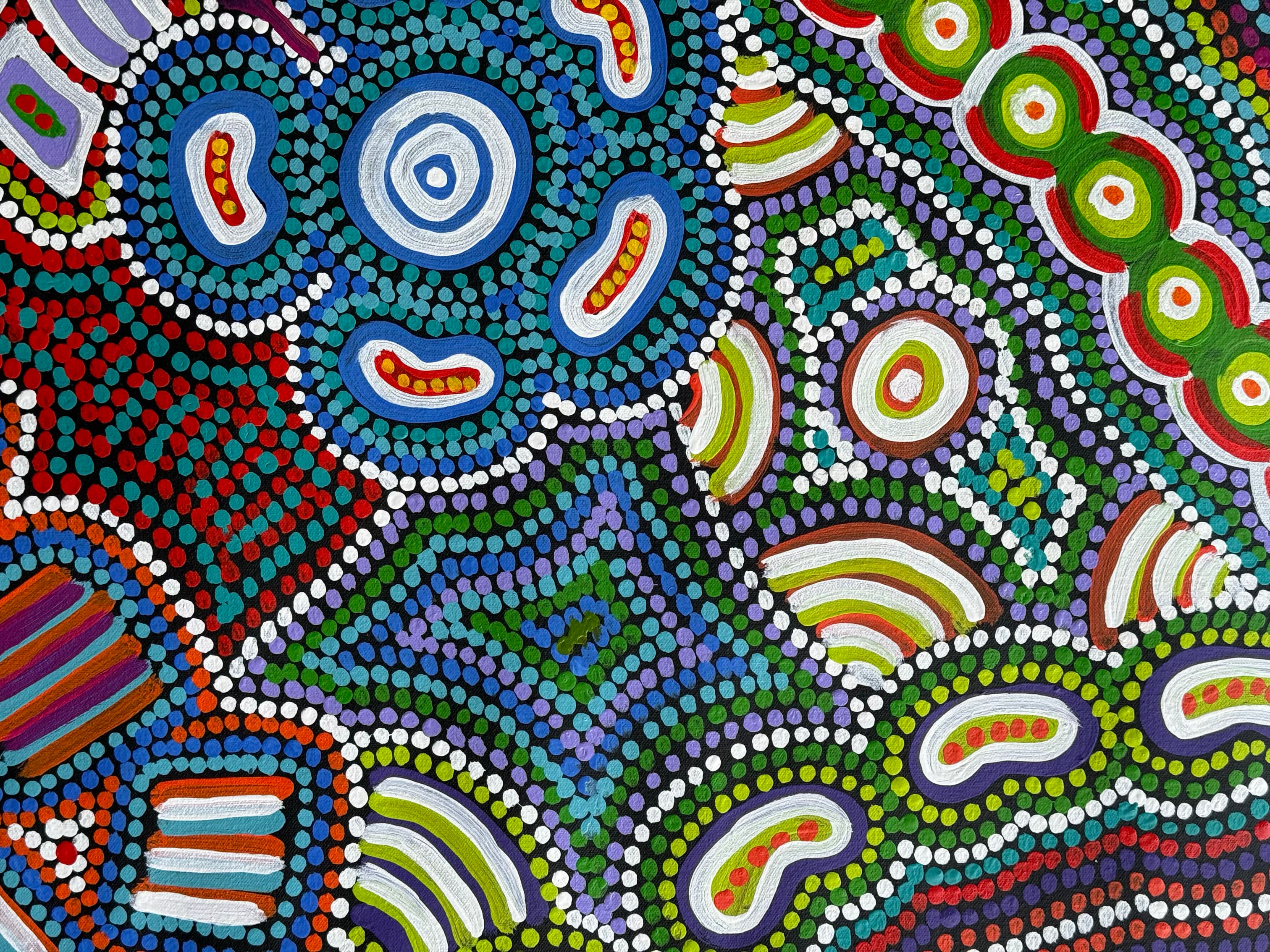 Pacinta Turner - My Country .70-1