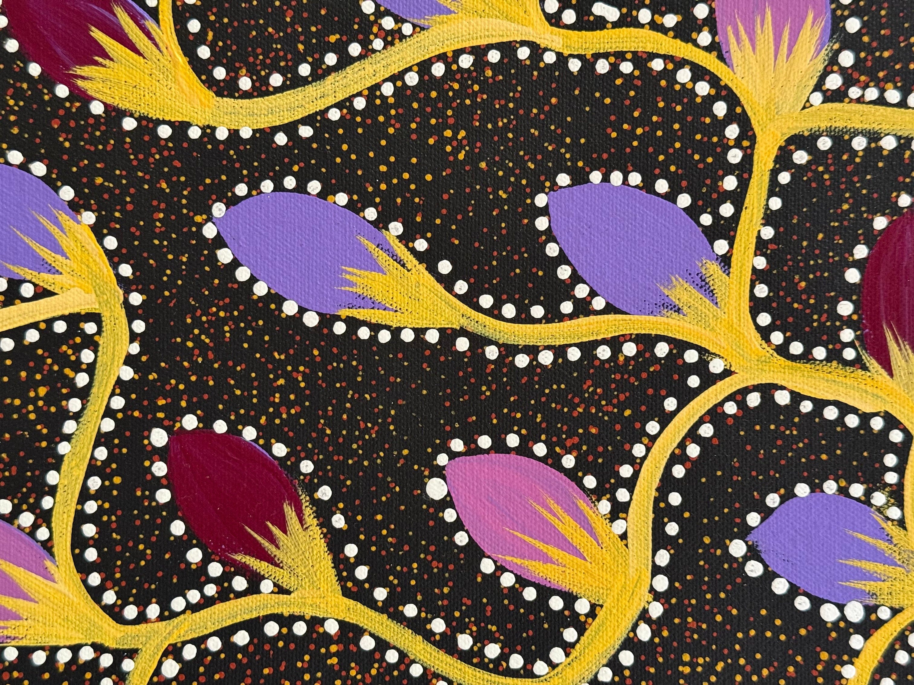 Jacinta Numina Waugh - Bush Plums - 43x33cm .12-13