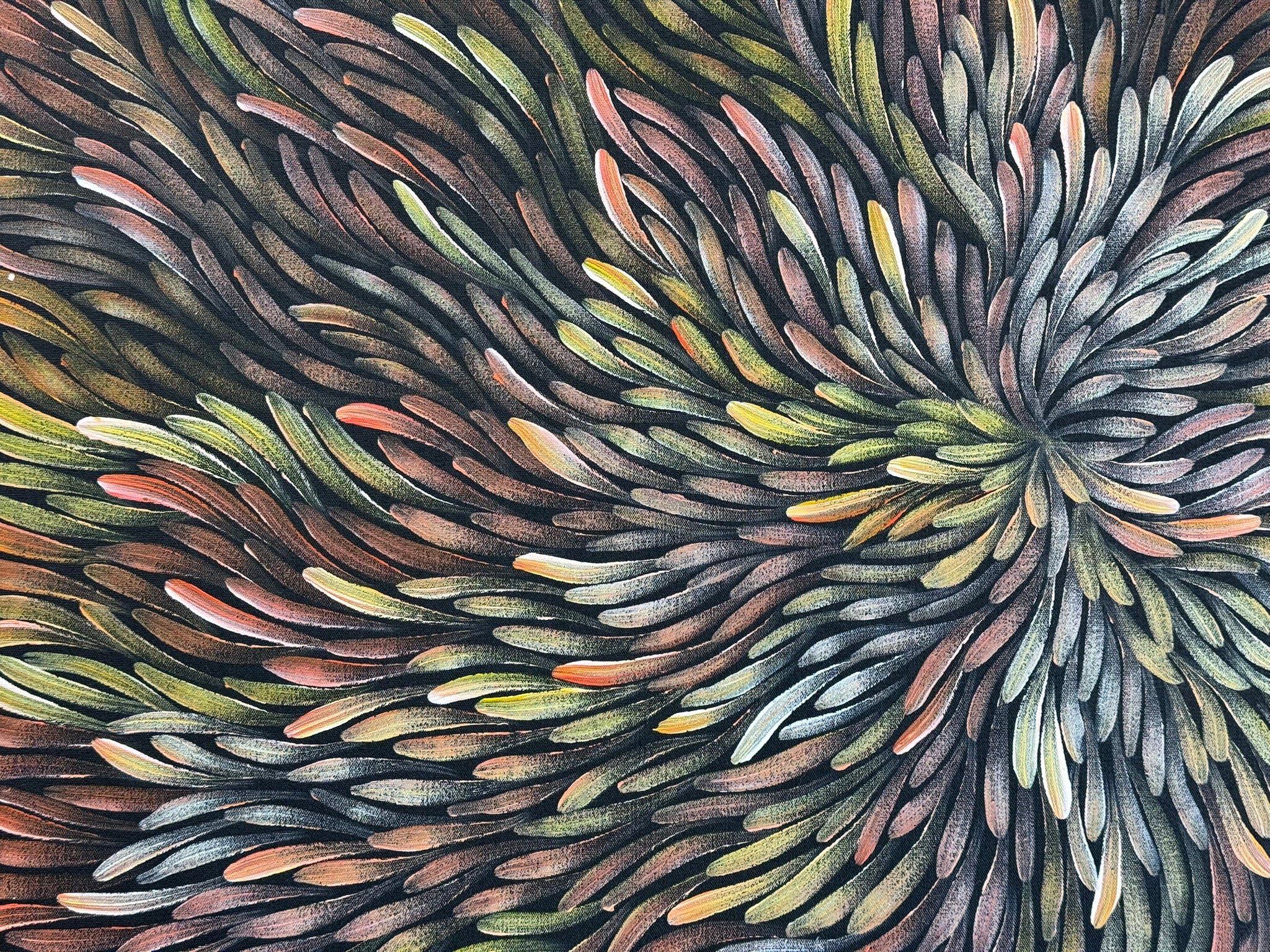 Maryanne Gibson - Bush Medicine .73-1