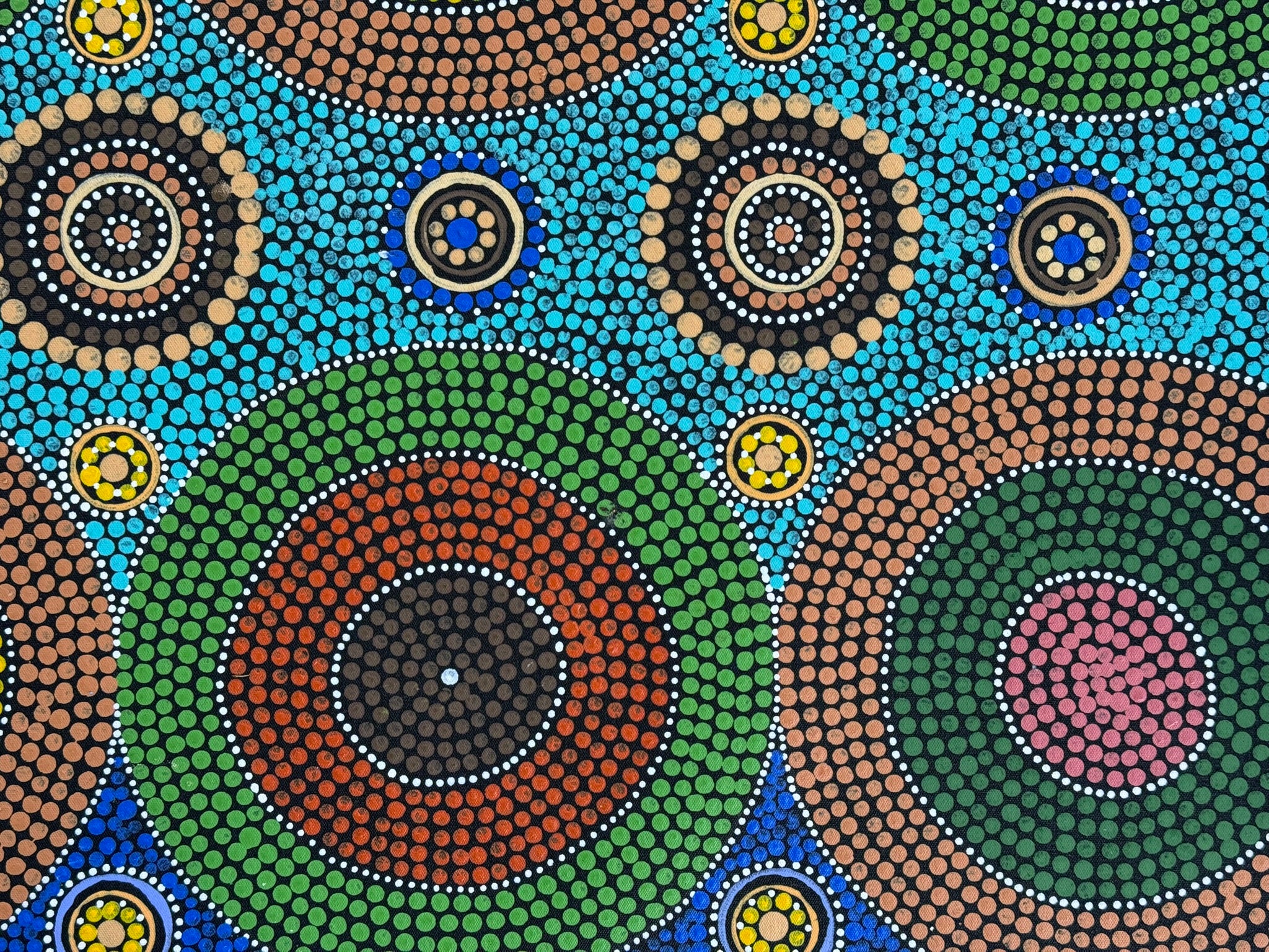 Maryanne Gibson - Bush Seeds .73-5