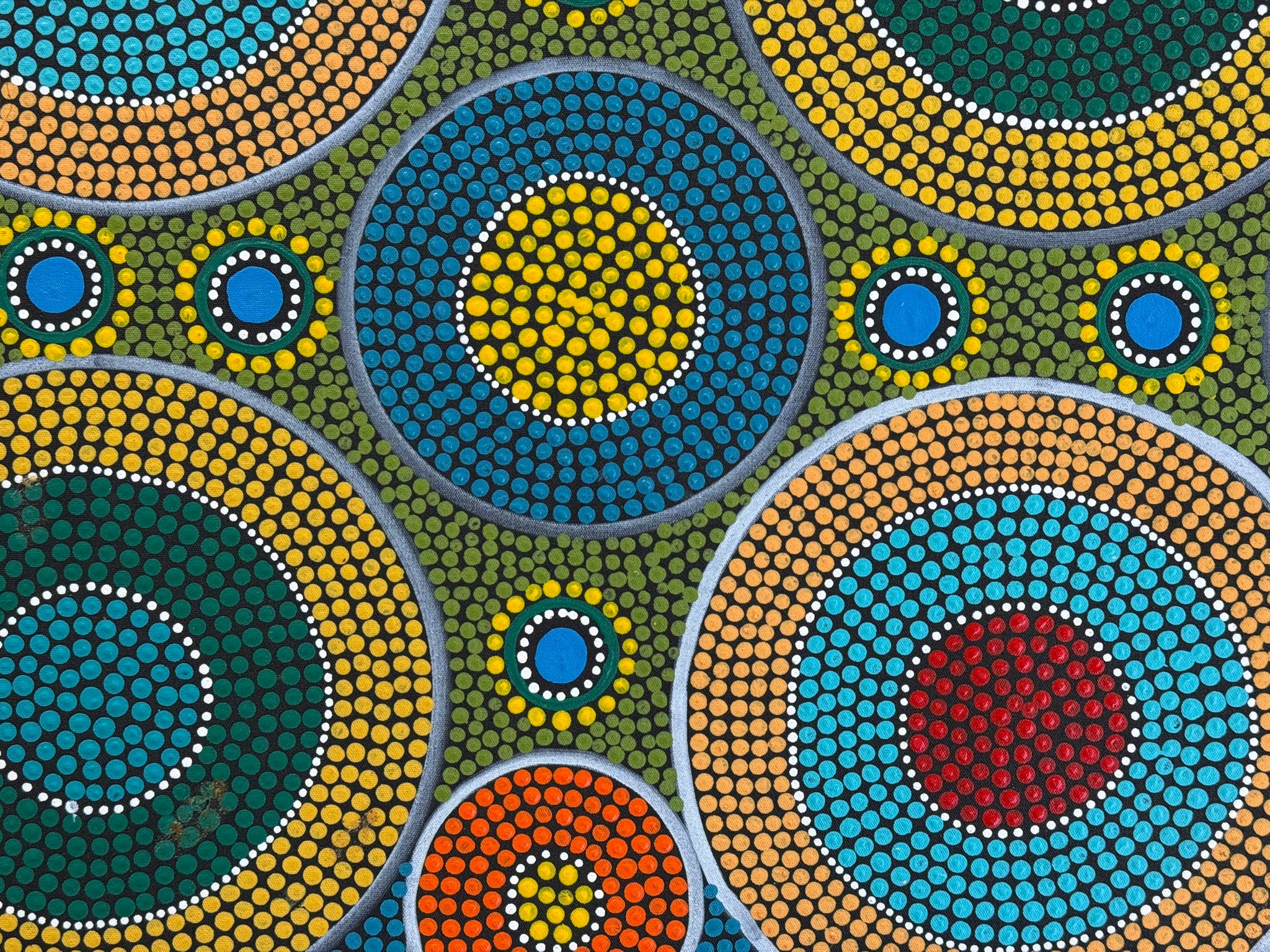 Maryanne Gibson - Bush Seeds .73-4