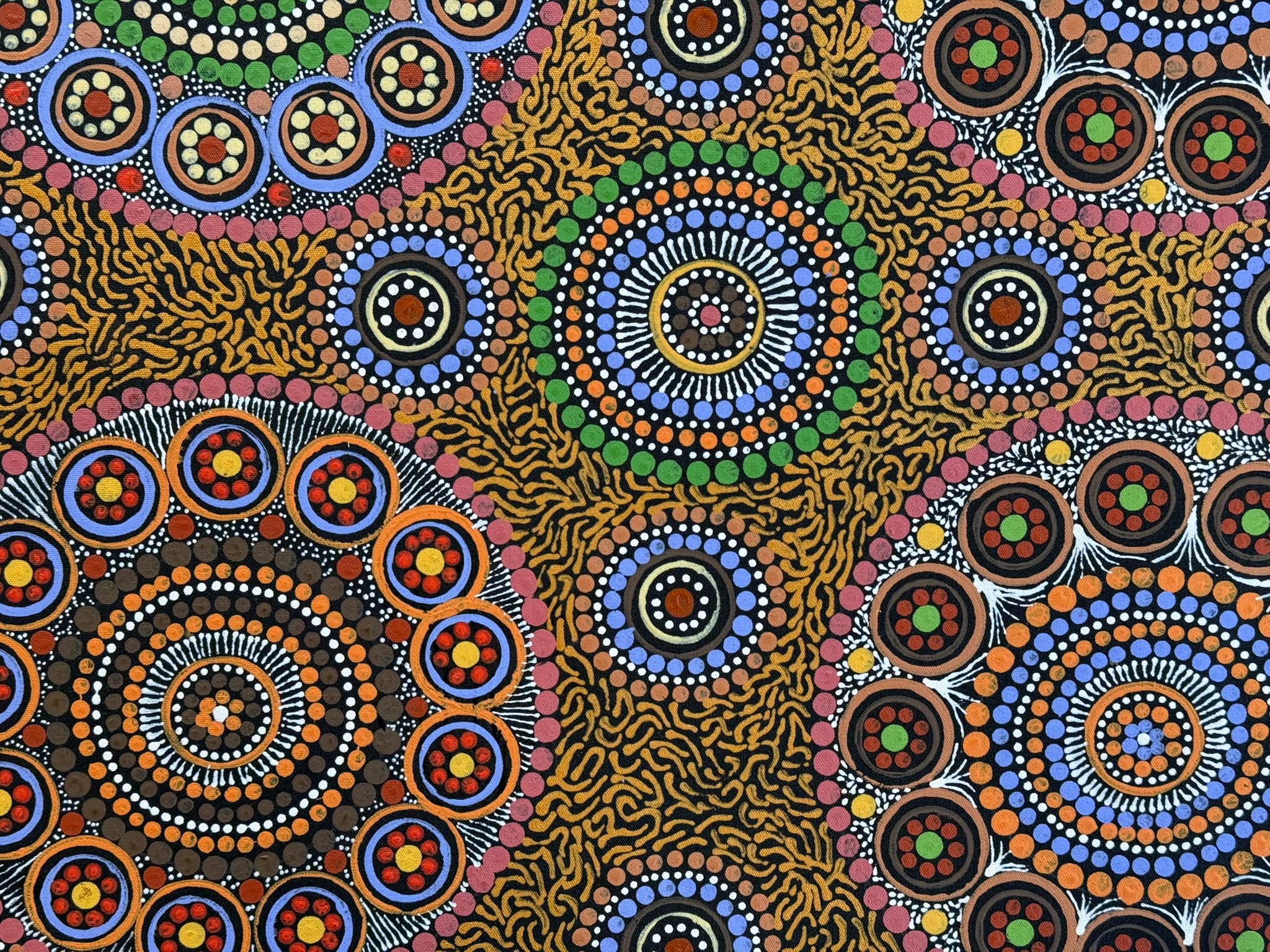 Maryanne Gibson - Bush Seeds .73-7
