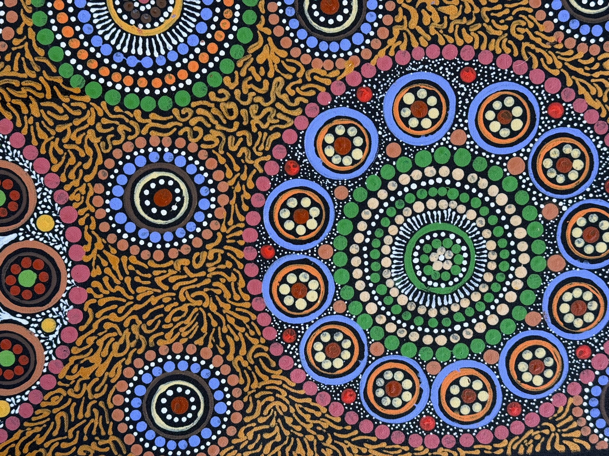 Maryanne Gibson - Bush Seeds .73-7