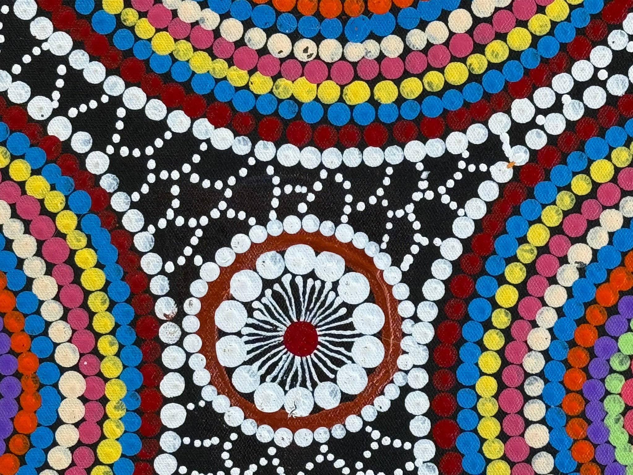 Linda Gibson - Bush Seeds, Bush Medicines, Bush Flowers .74-5