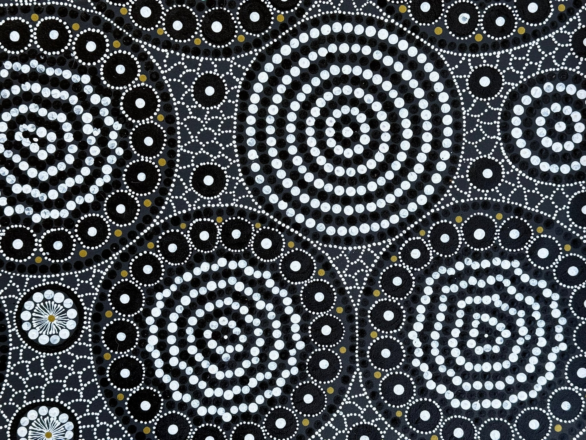 Linda Gibson - Bush Seeds, Bush Medicines .74-2