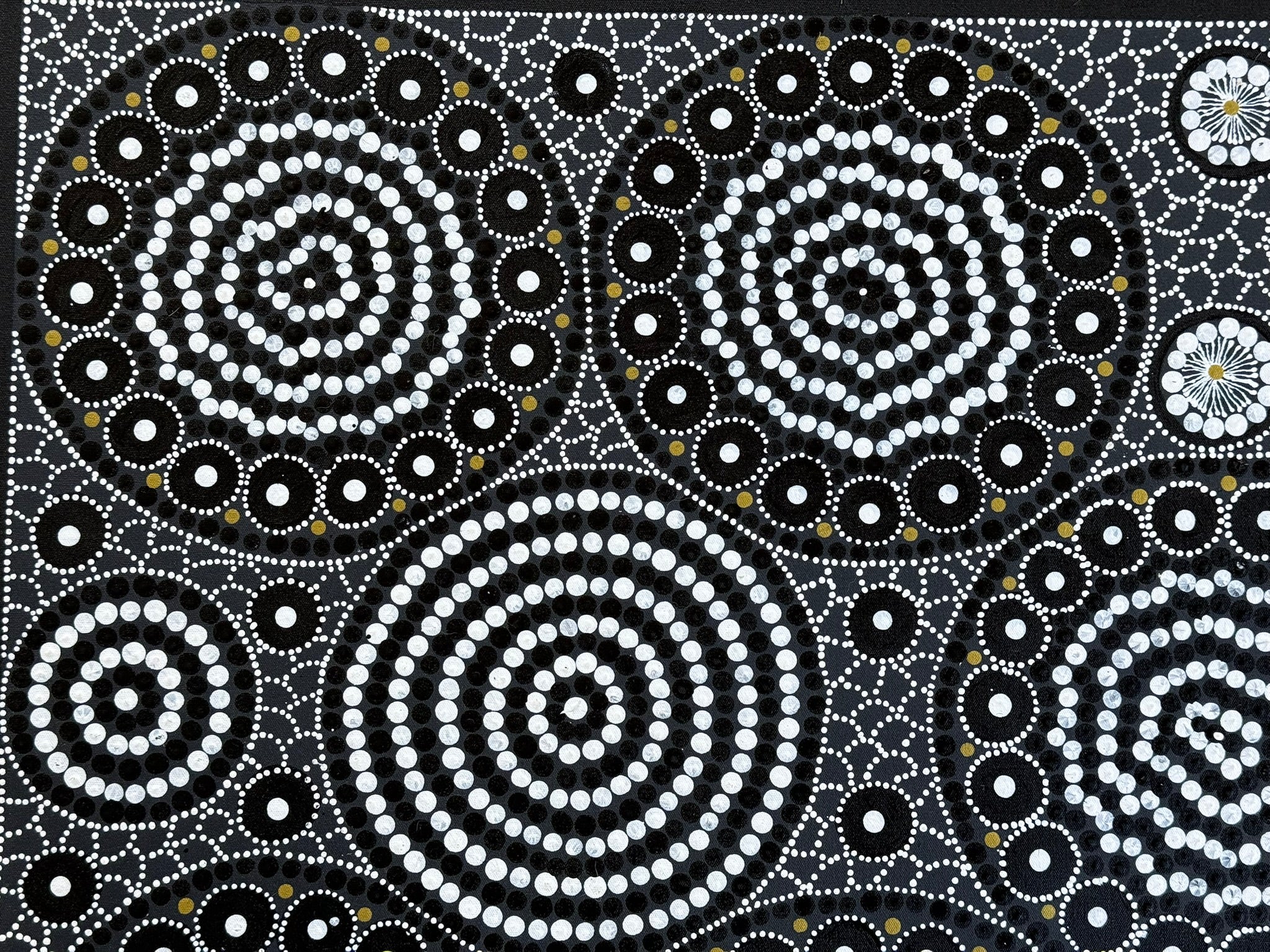 Linda Gibson - Bush Seeds, Bush Medicines .74-2