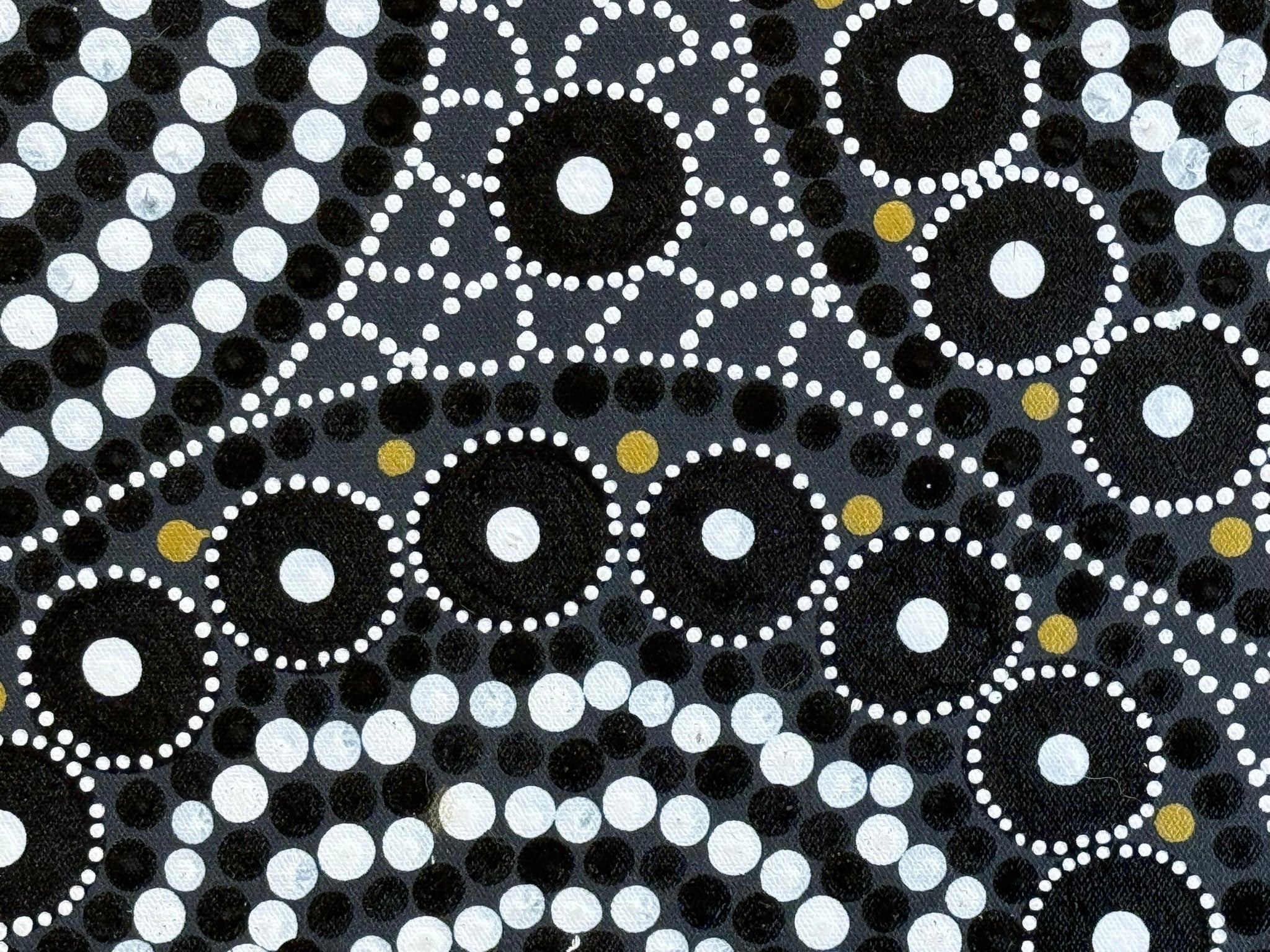 Linda Gibson - Bush Seeds, Bush Medicines .74-2