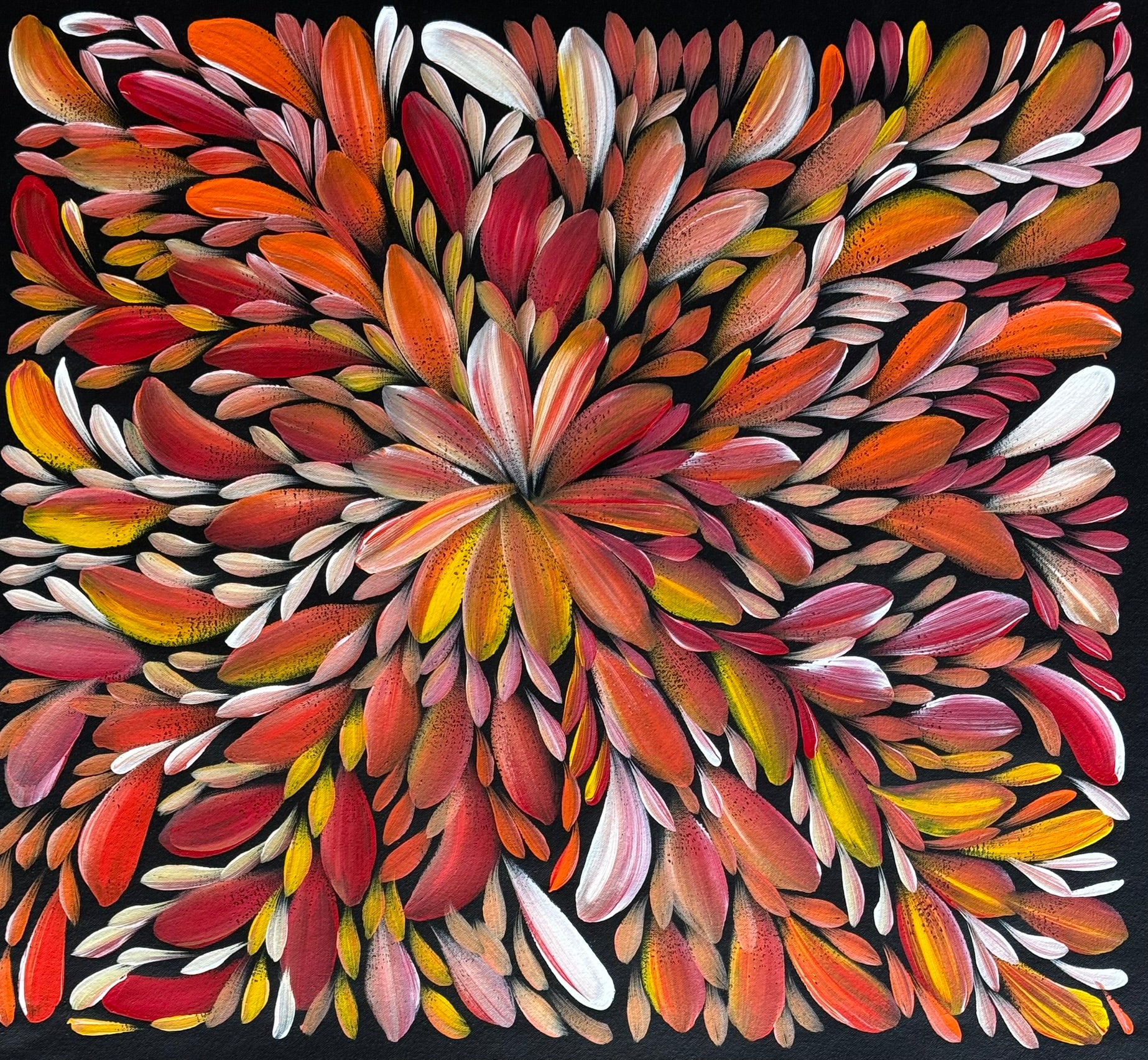 Louise Numina Napananka - Bush Medicine Leaves - 61x56cm .16-55