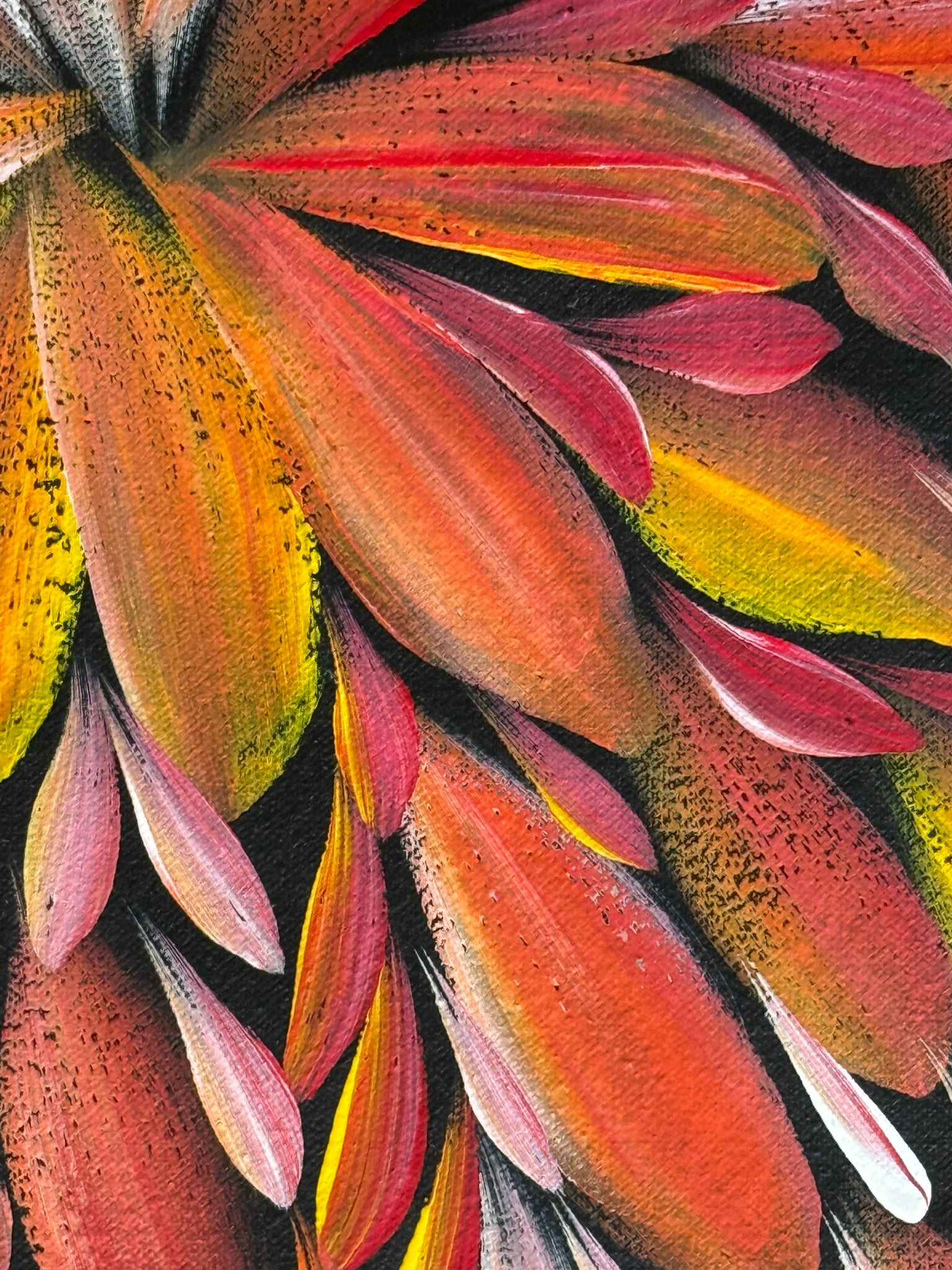 Louise Numina Napananka - Bush Medicine Leaves - 61x56cm .16-55