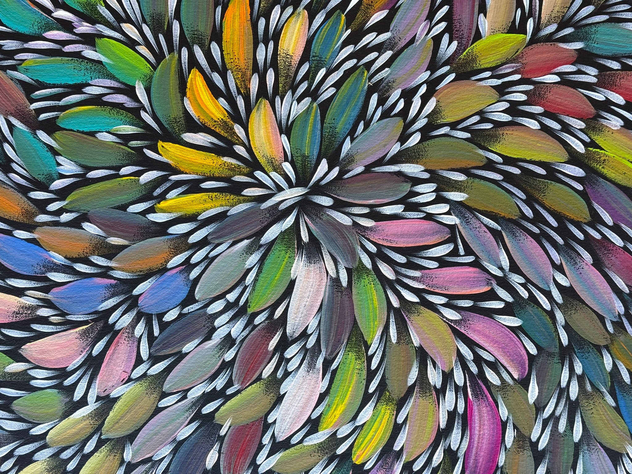 Selina Numina Kamprina - Bush Medicine Leaves .37-3