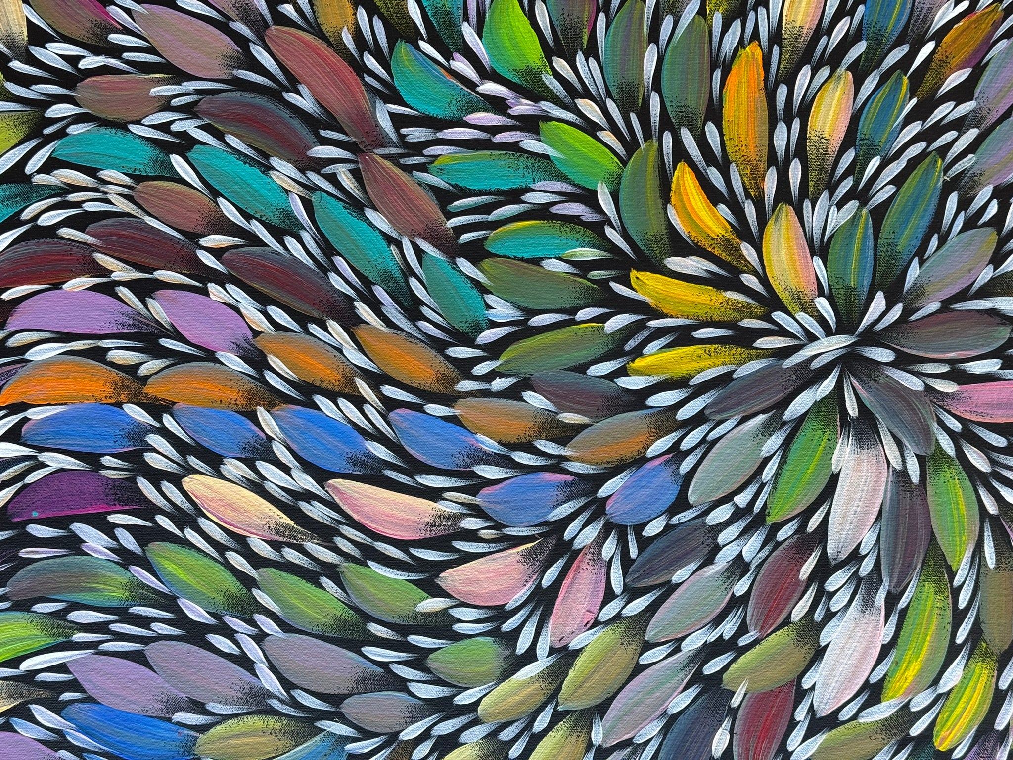Selina Numina Kamprina - Bush Medicine Leaves .37-3
