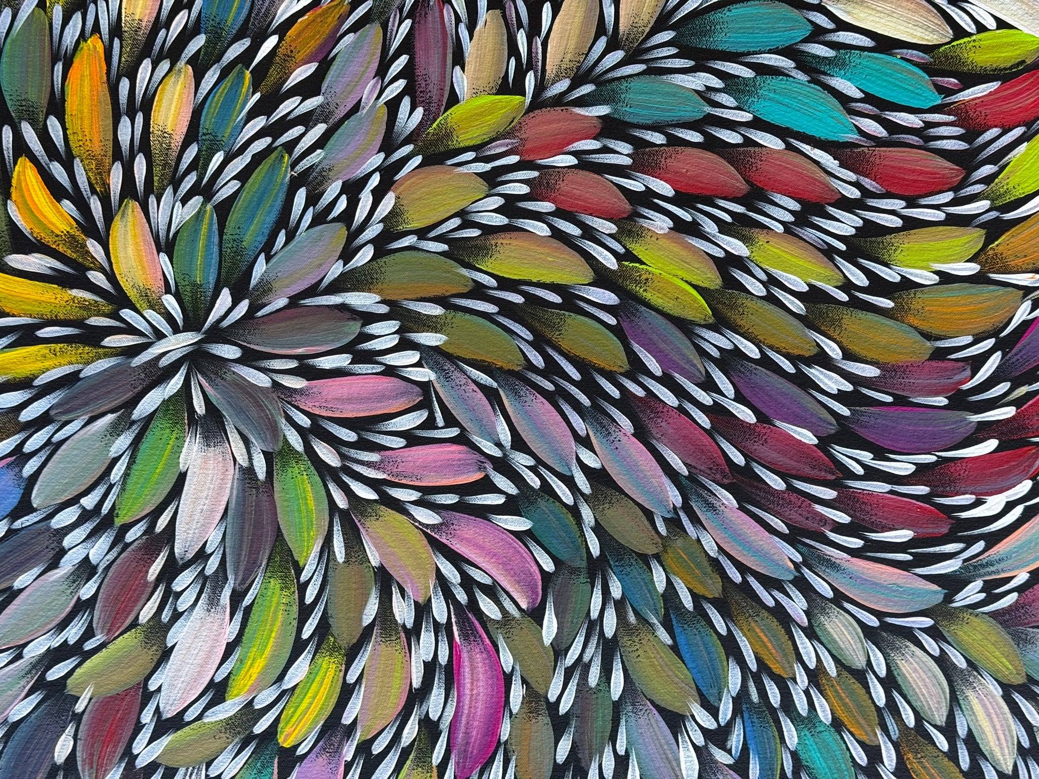 Selina Numina Kamprina - Bush Medicine Leaves .37-3