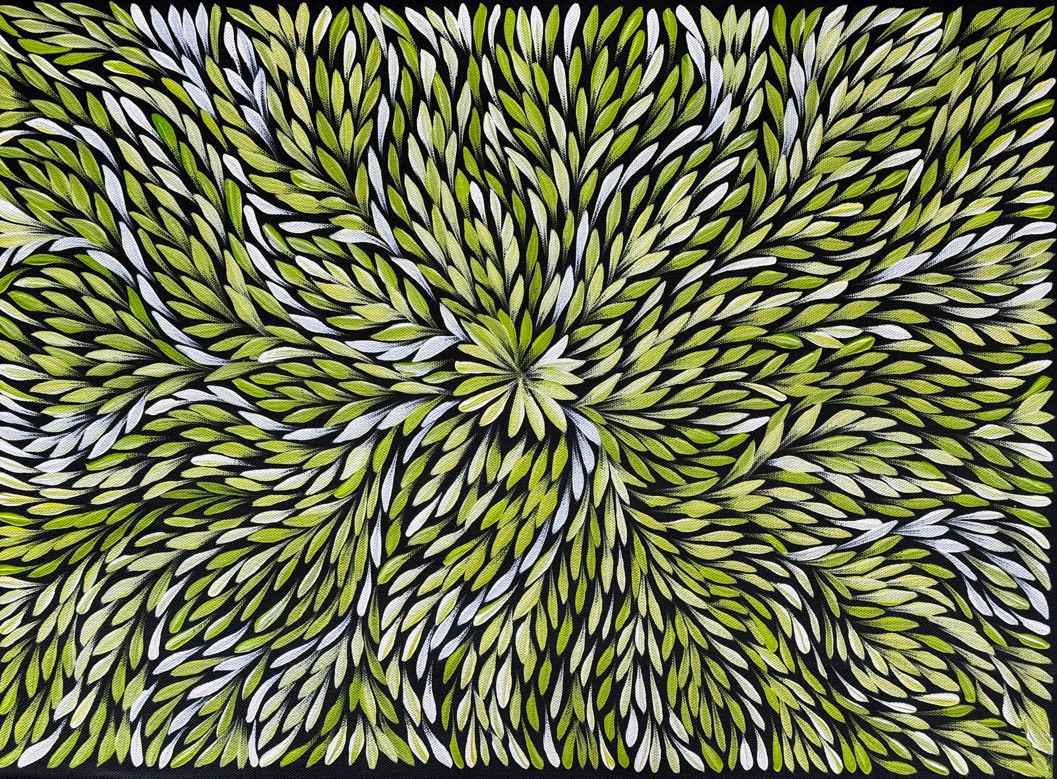 Sharon Turner - Bush Medicine Leaves .32-5