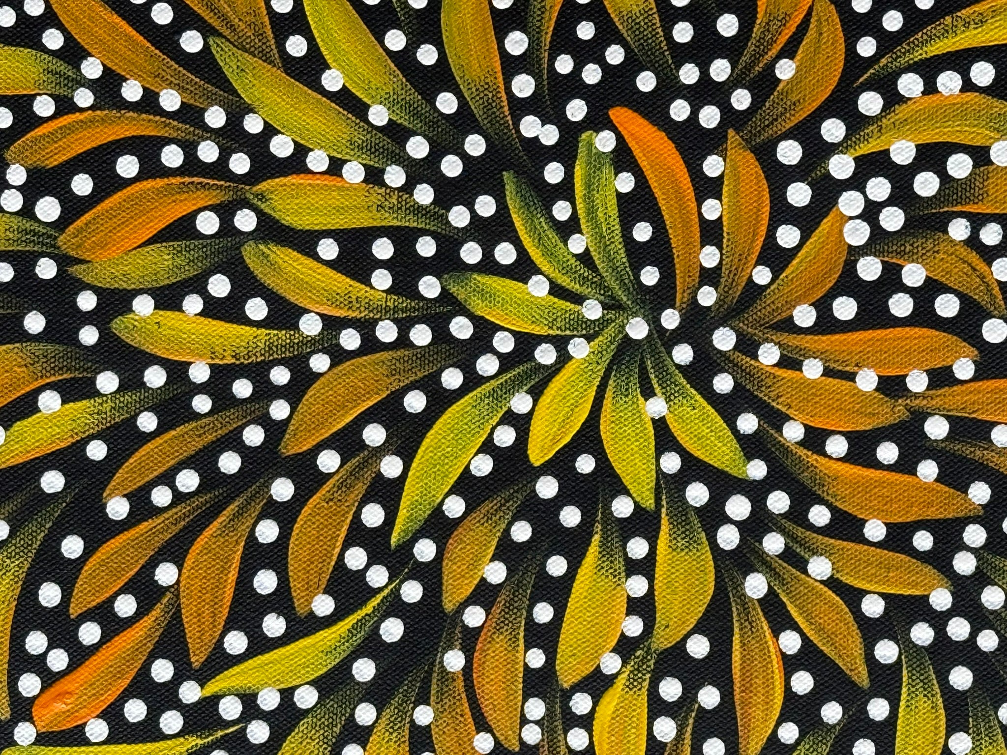 Caroline Numina - Bush Medicine Leaves and Seeds .35-3