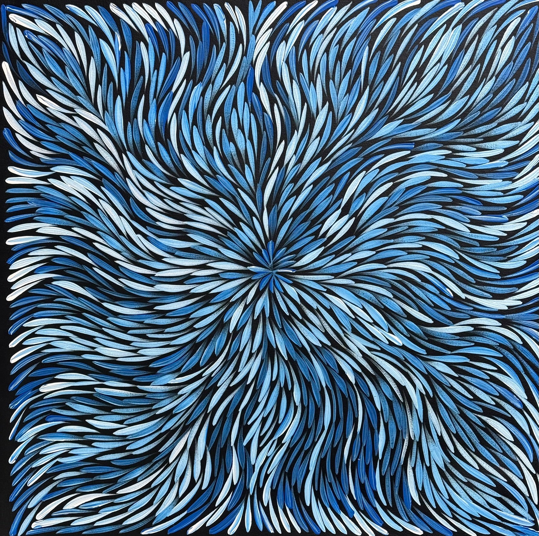 Sharon Numina - Bush Medicine Leaves .02-20