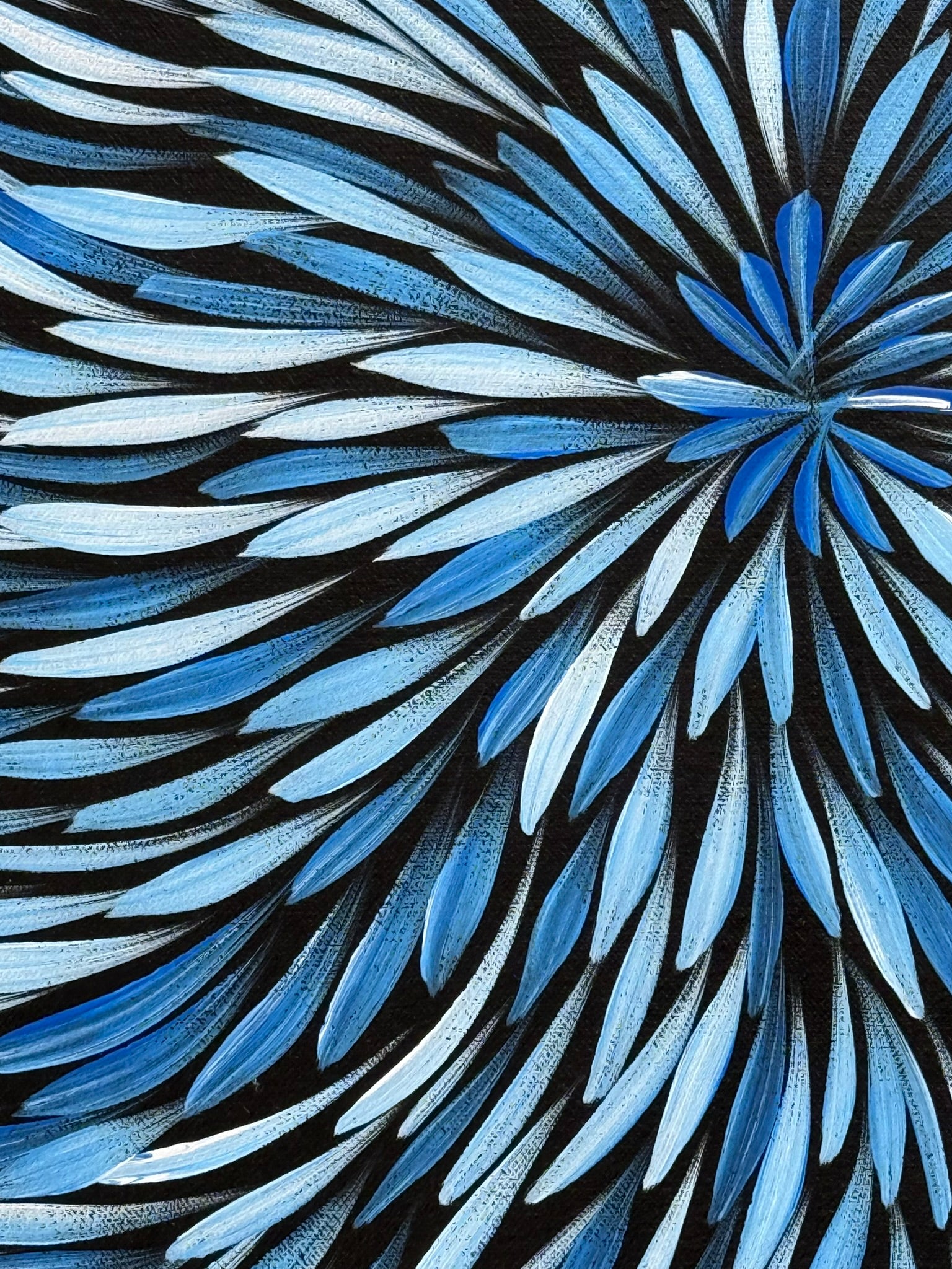 Sharon Numina - Bush Medicine Leaves .02-20