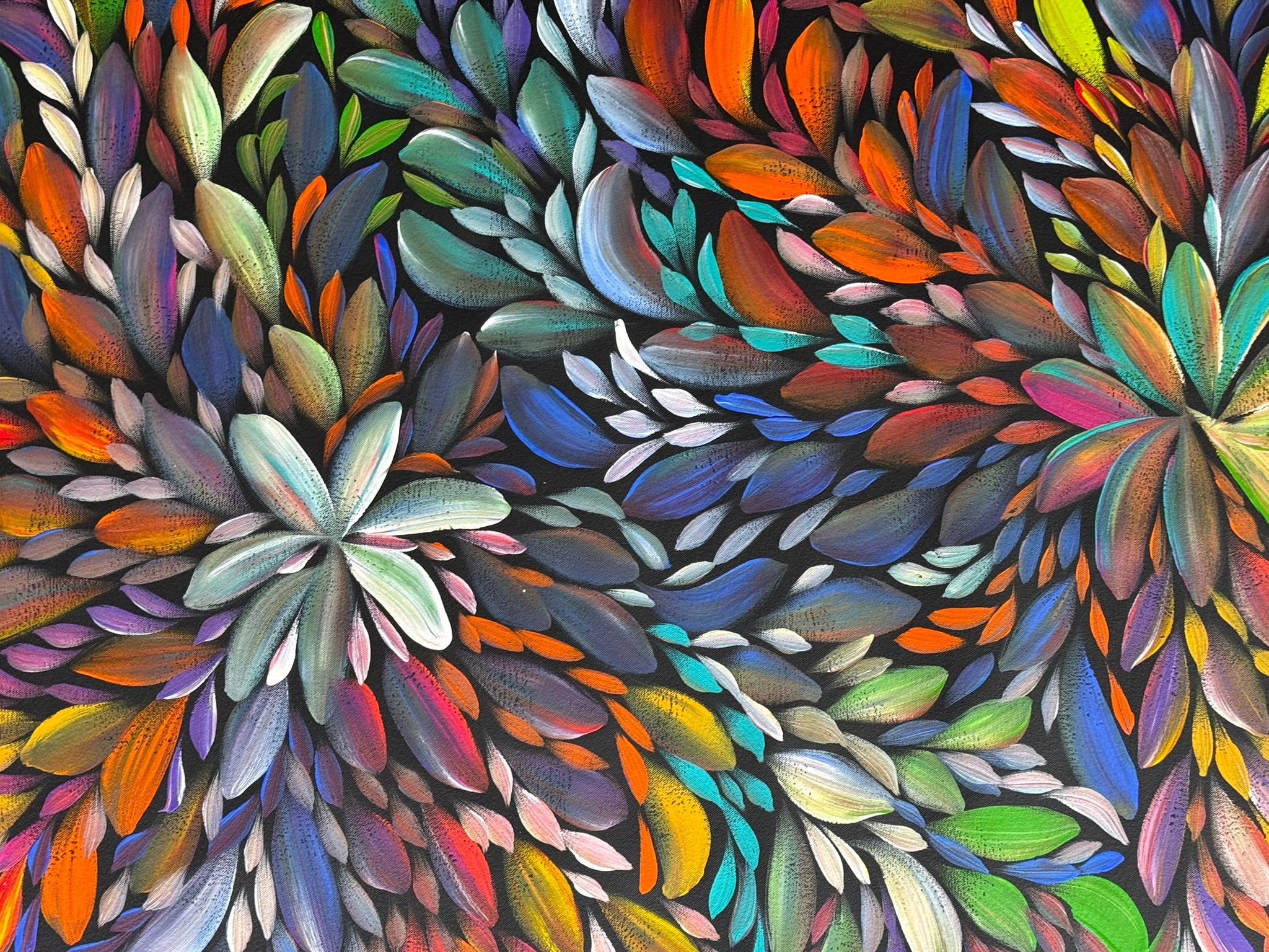 Louise Numina Napananka - Bush Medicine Leaves .36-1