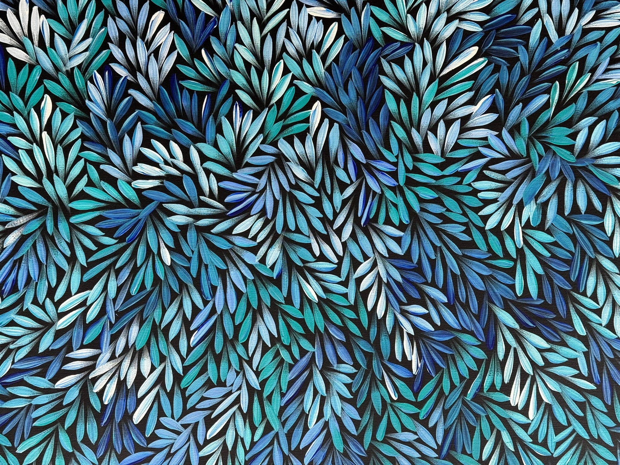 Sharon Numina - Bush Medicine Leaves .33-1