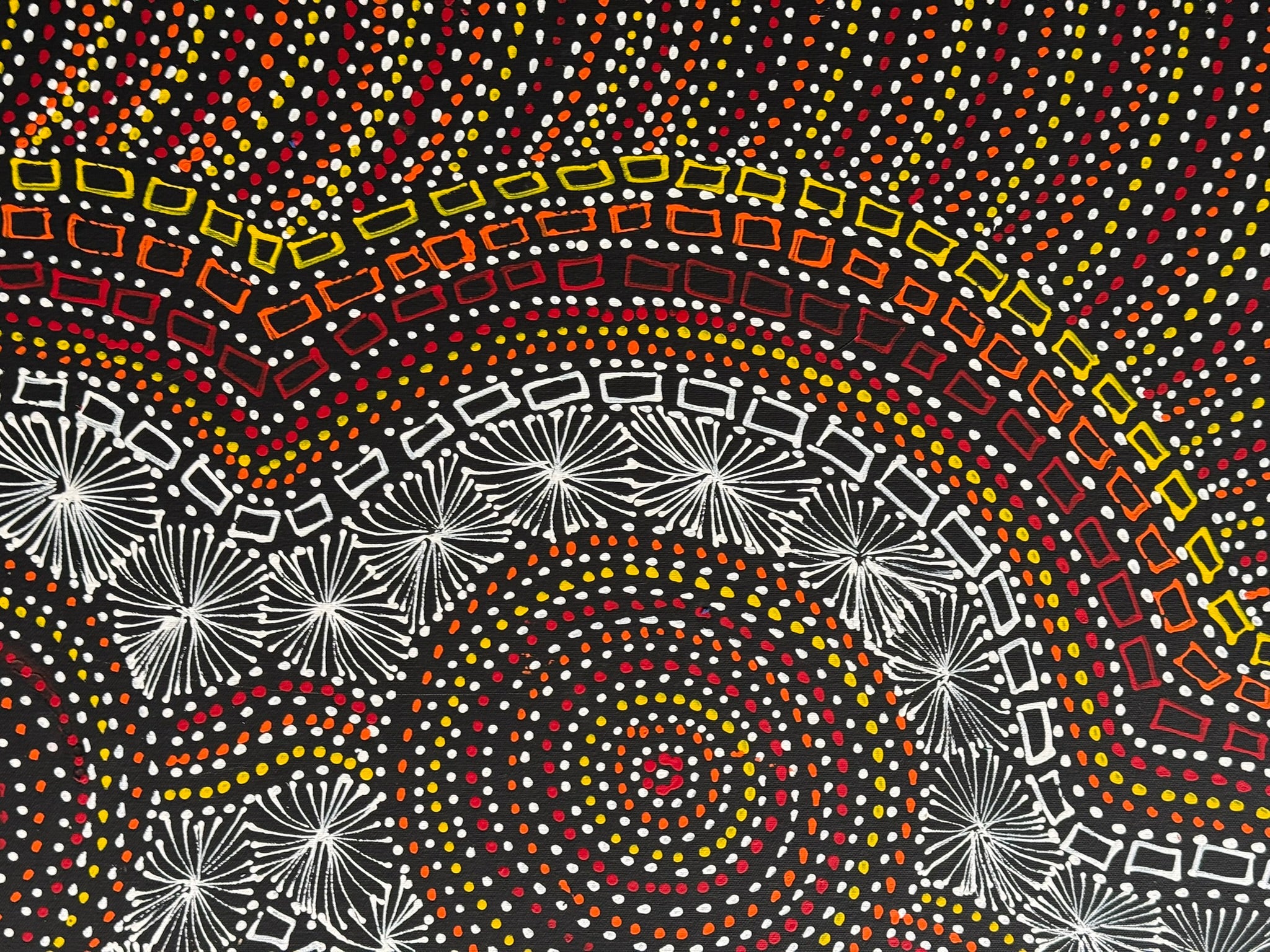 Selina Numina Kamprina - Seeds and Waterholes .37-1