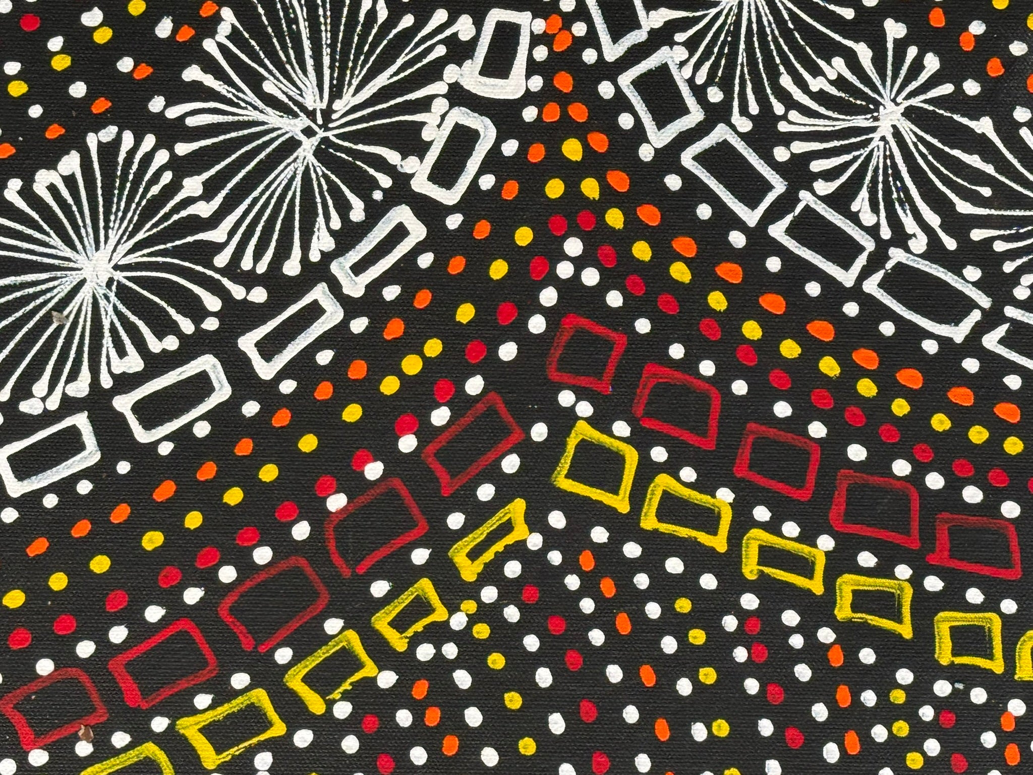 Selina Numina Kamprina - Seeds and Waterholes .37-1