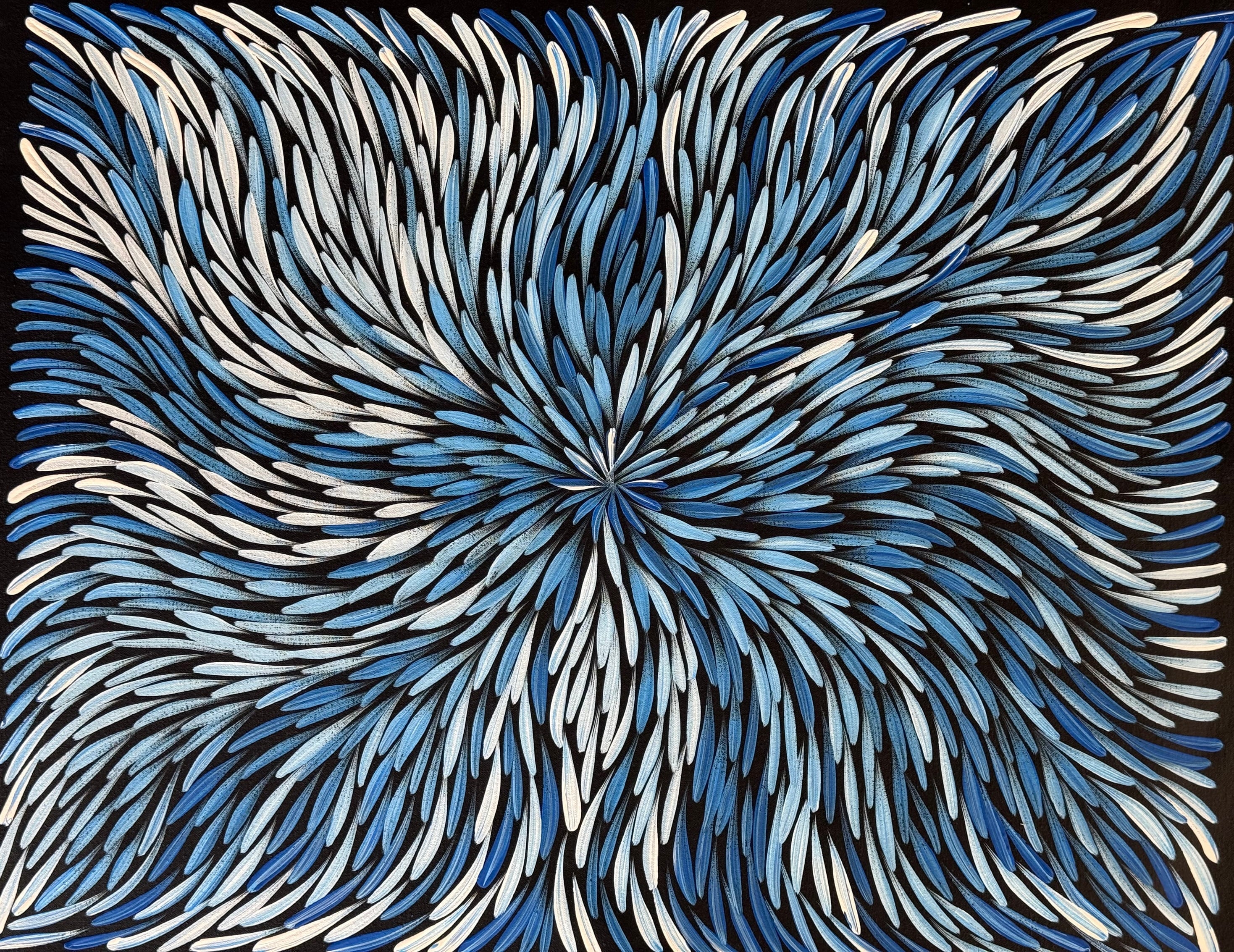 Sharon Numina - Bush Medicine Leaves .02-27