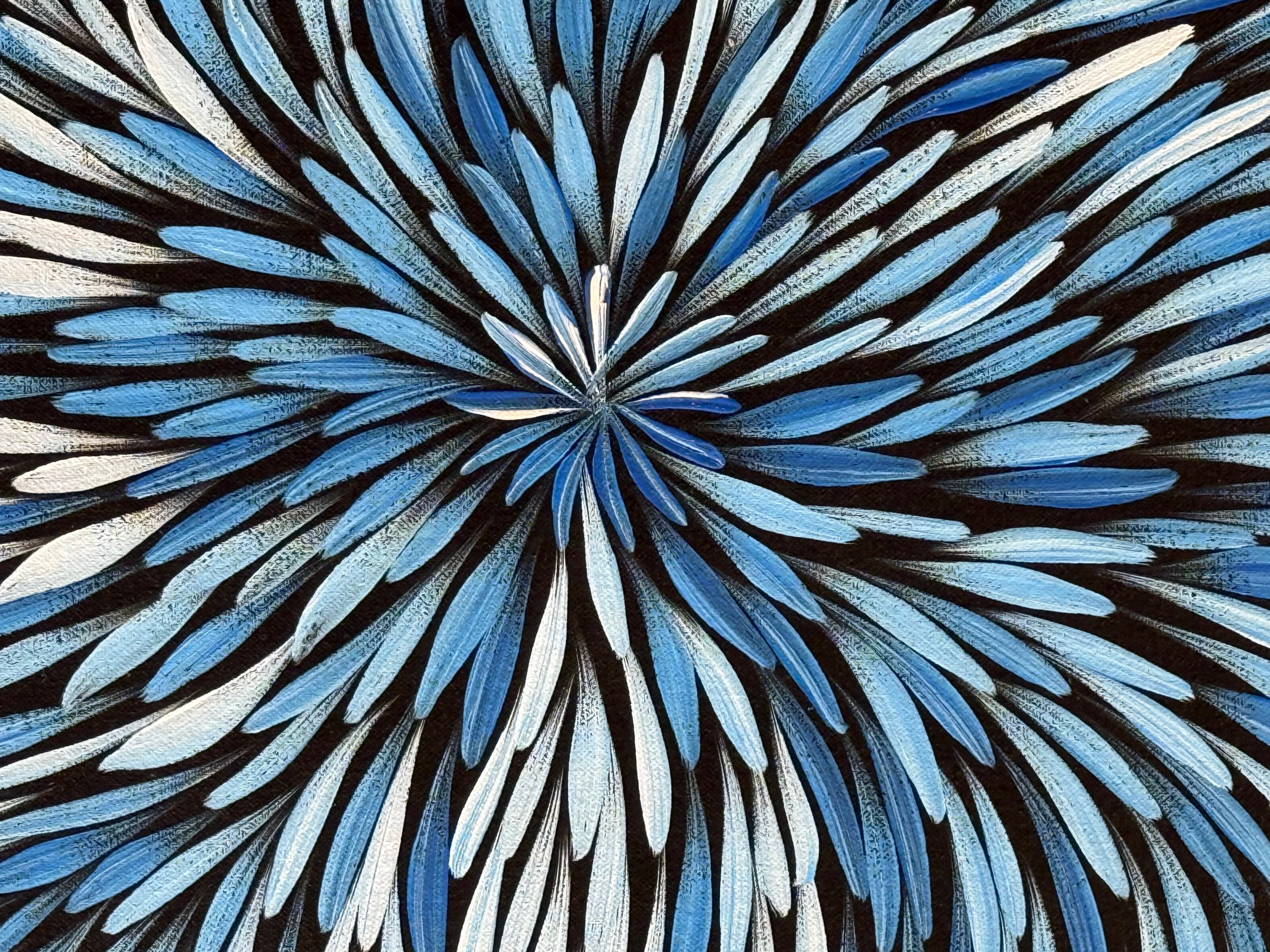 Sharon Numina - Bush Medicine Leaves .02-27