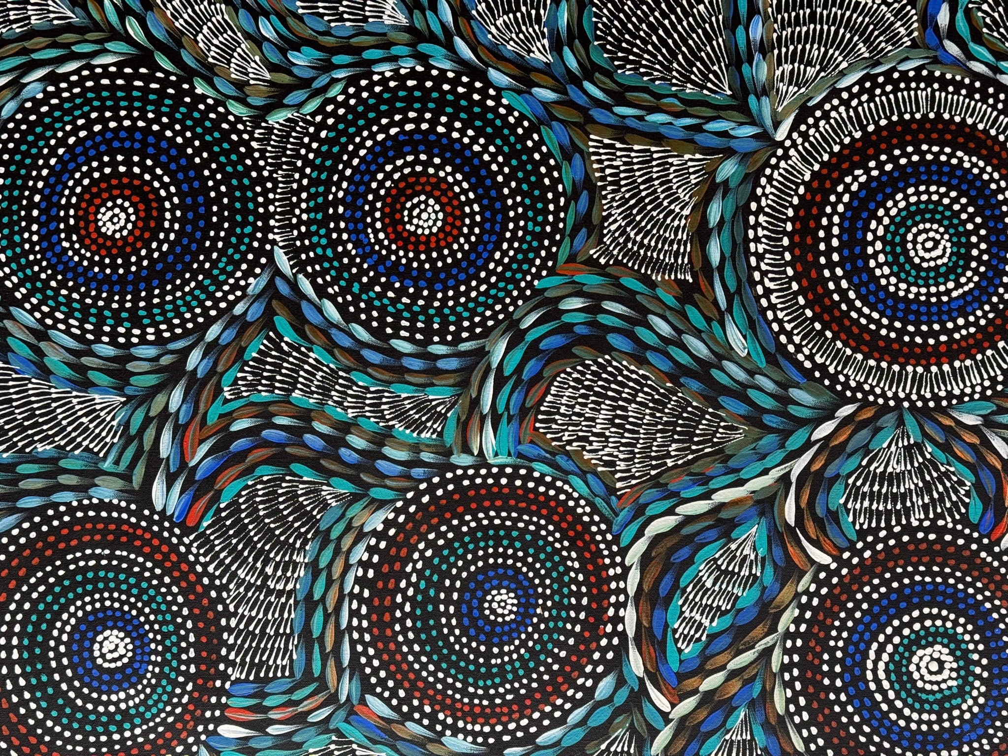 Scott Duggie - Waterholes and Bush Medicine Leaves .40